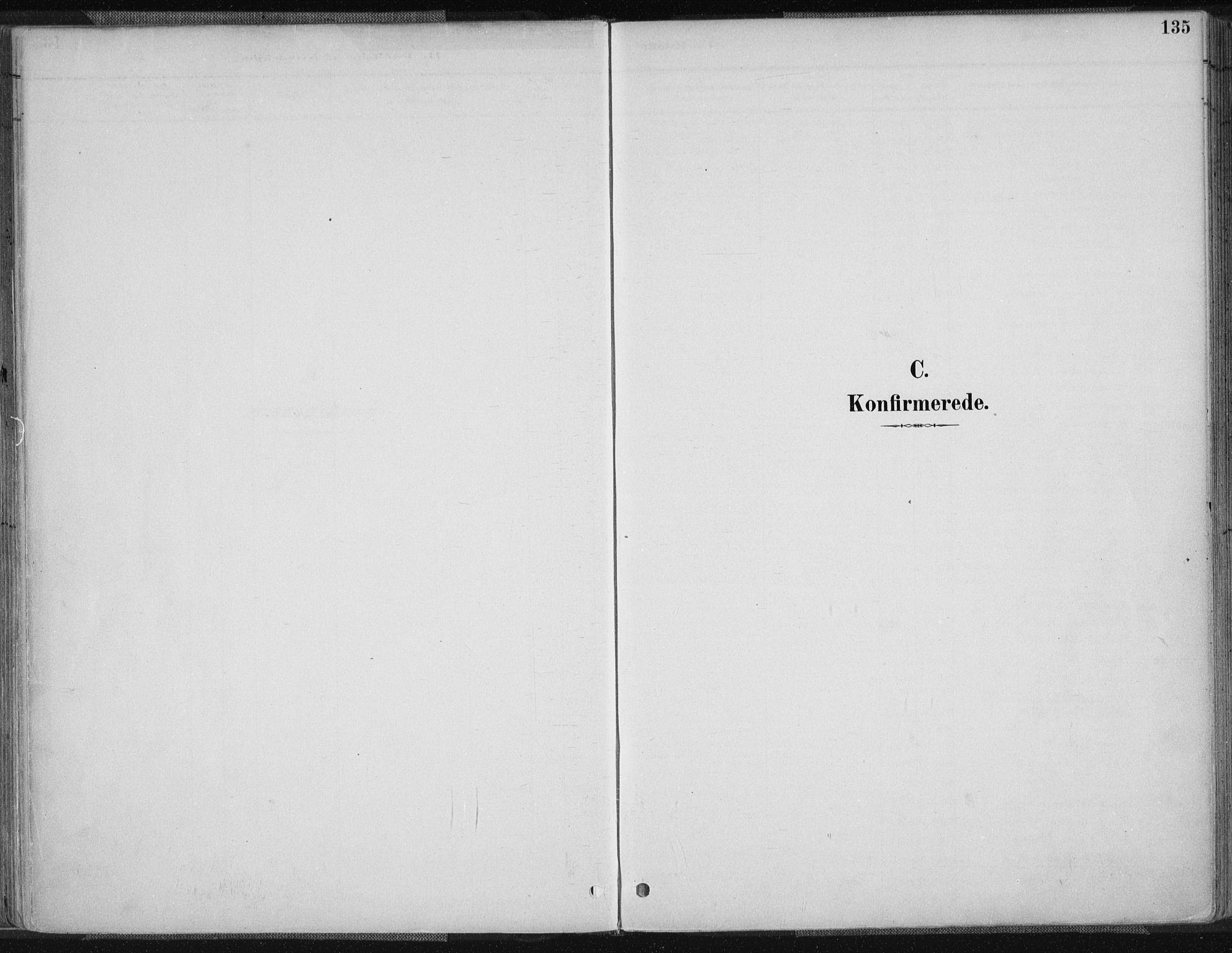 Tvedestrand sokneprestkontor, AV/SAK-1111-0042/F/Fa/L0001: Parish register (official) no. A 1, 1885-1916, p. 135