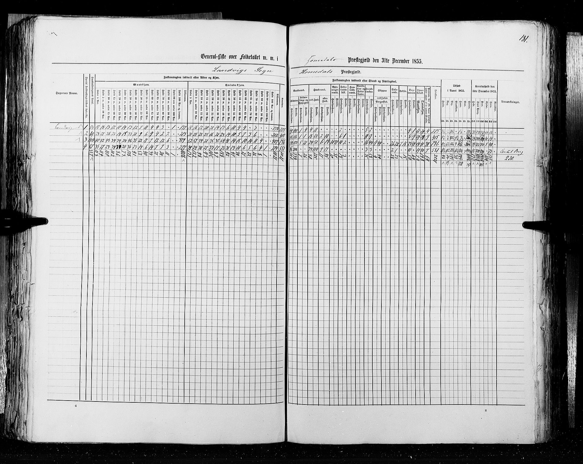 RA, Census 1855, vol. 3: Bratsberg amt, Nedenes amt og Lister og Mandal amt, 1855, p. 181