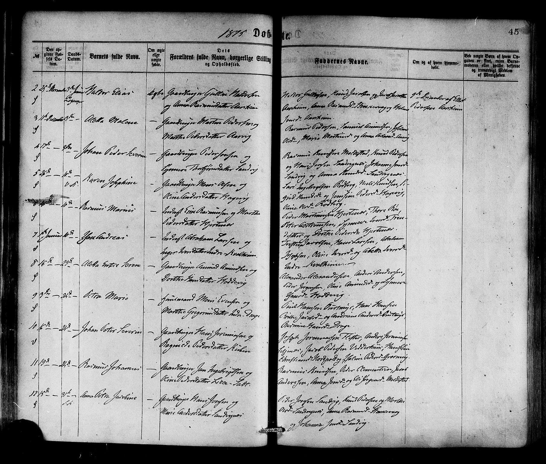 Selje sokneprestembete, SAB/A-99938/H/Ha/Haa/Haaa: Parish register (official) no. A 12, 1870-1880, p. 45