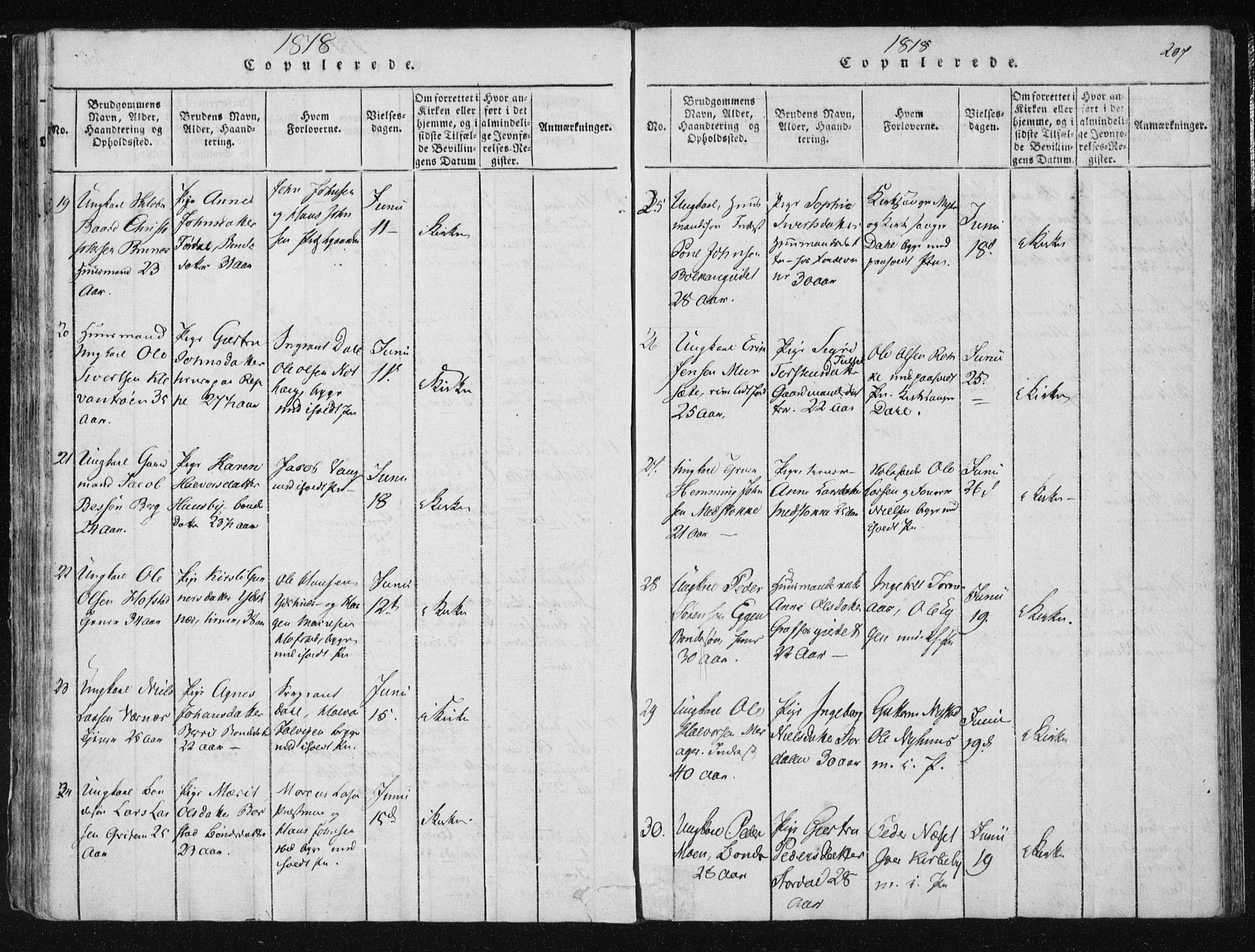 Ministerialprotokoller, klokkerbøker og fødselsregistre - Nord-Trøndelag, SAT/A-1458/709/L0061: Parish register (official) no. 709A08 /1, 1815-1819, p. 207