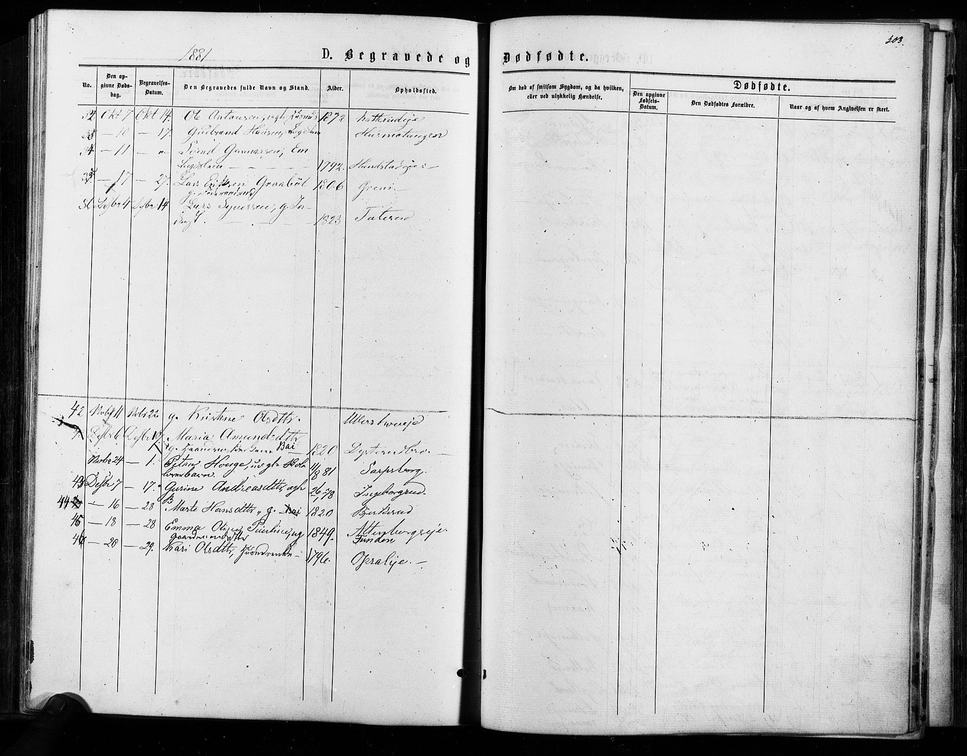 Nes prestekontor Kirkebøker, AV/SAO-A-10410/F/Fa/L0009: Parish register (official) no. I 9, 1875-1882, p. 503