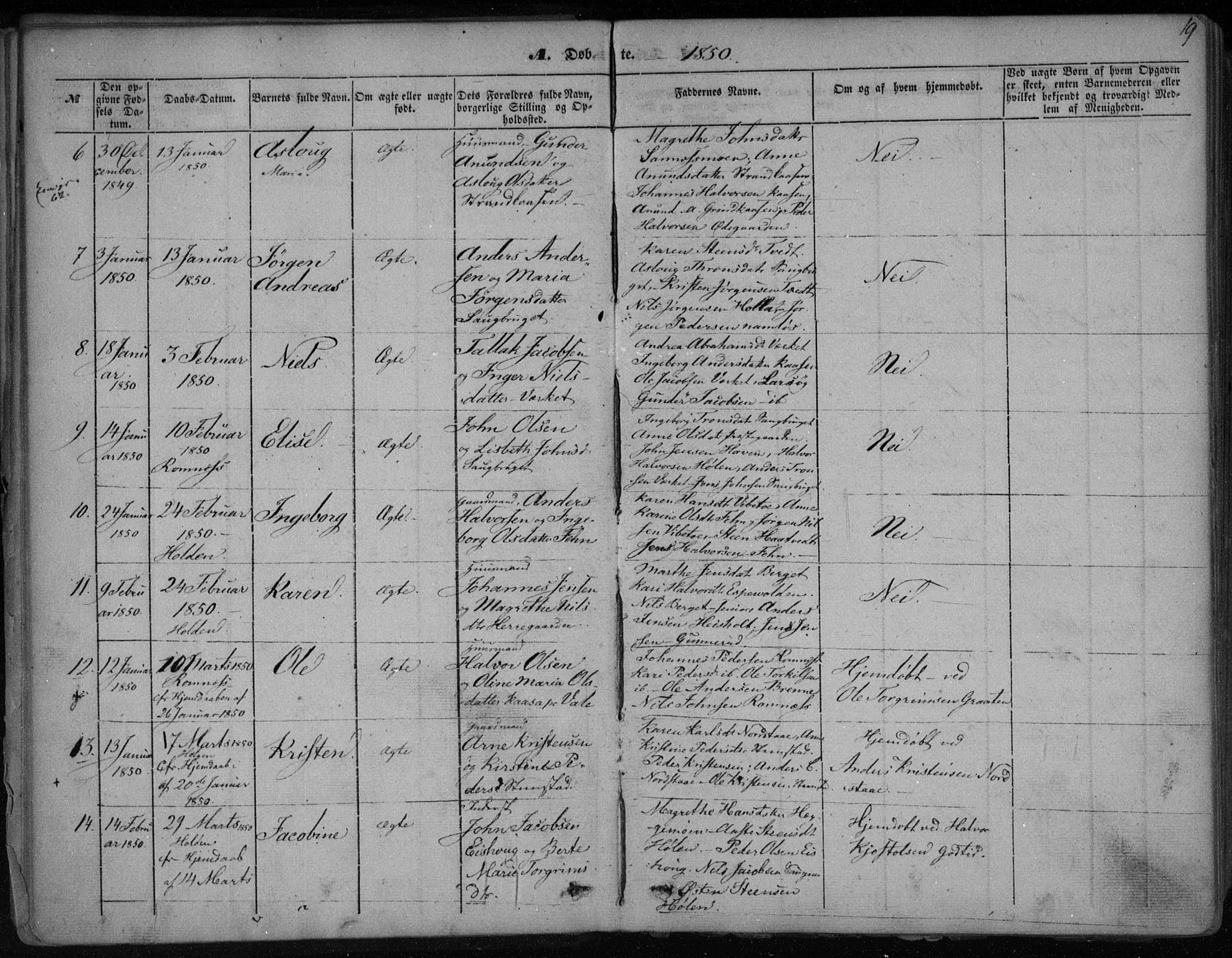 Holla kirkebøker, SAKO/A-272/F/Fa/L0005: Parish register (official) no. 5, 1849-1860, p. 19