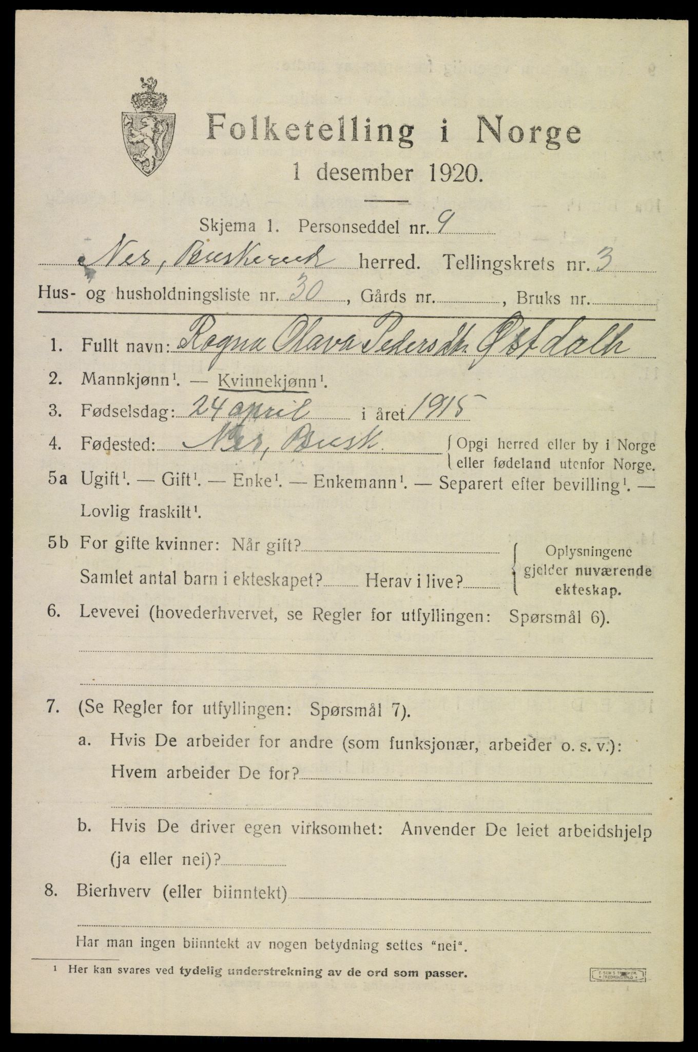 SAKO, 1920 census for Nes (Buskerud), 1920, p. 1916