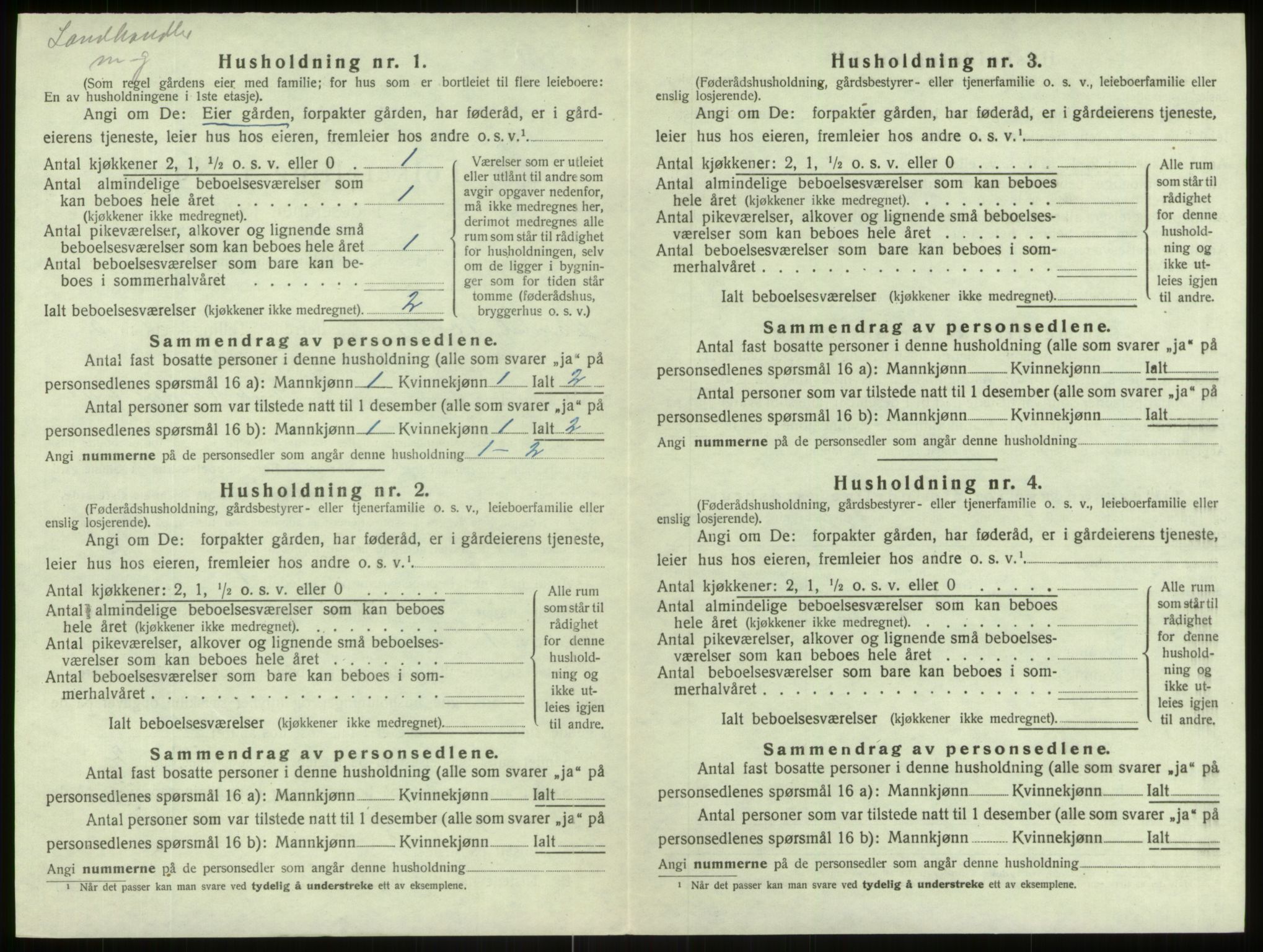 SAB, 1920 census for Årdal, 1920, p. 205