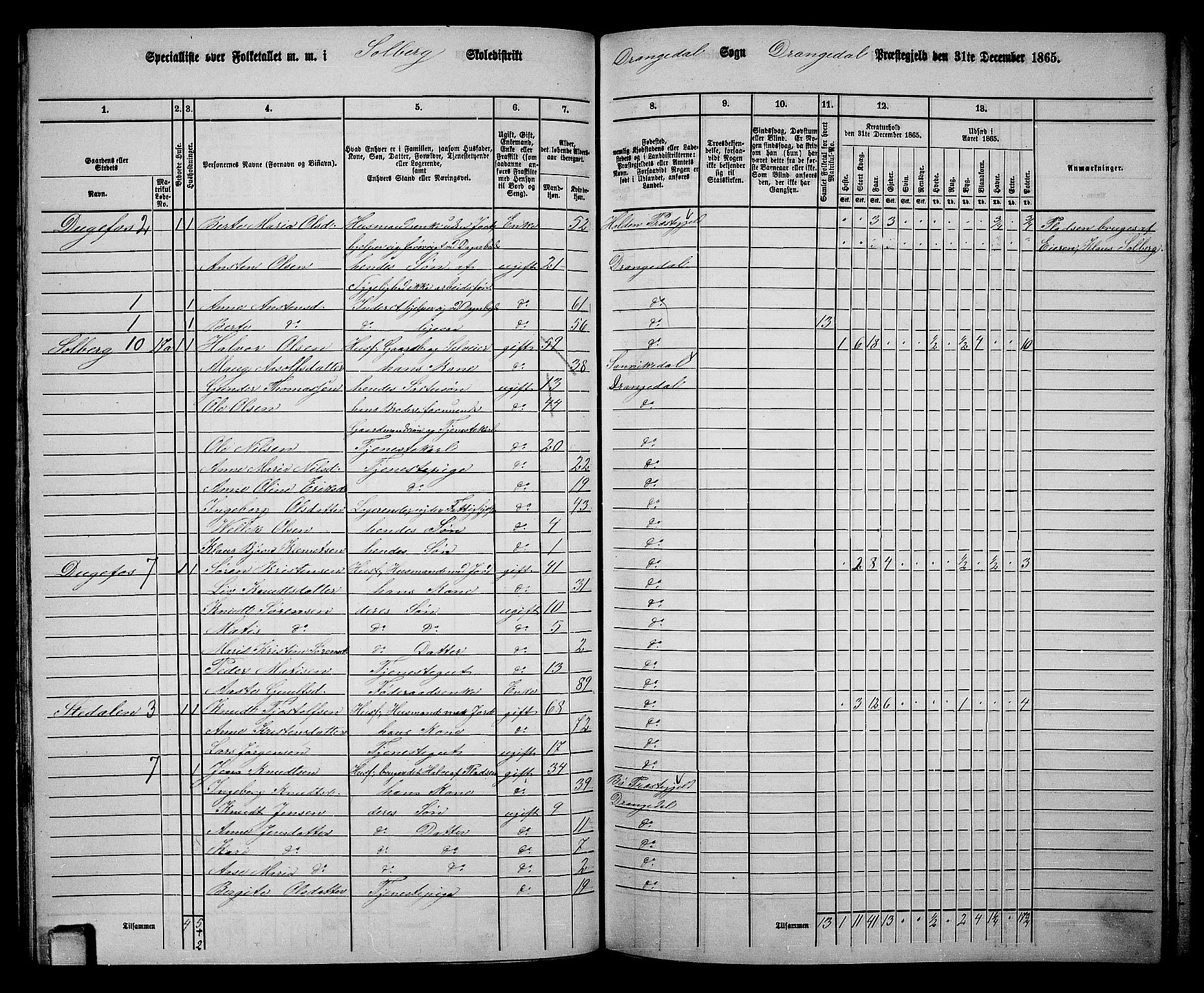 RA, 1865 census for Drangedal, 1865, p. 65