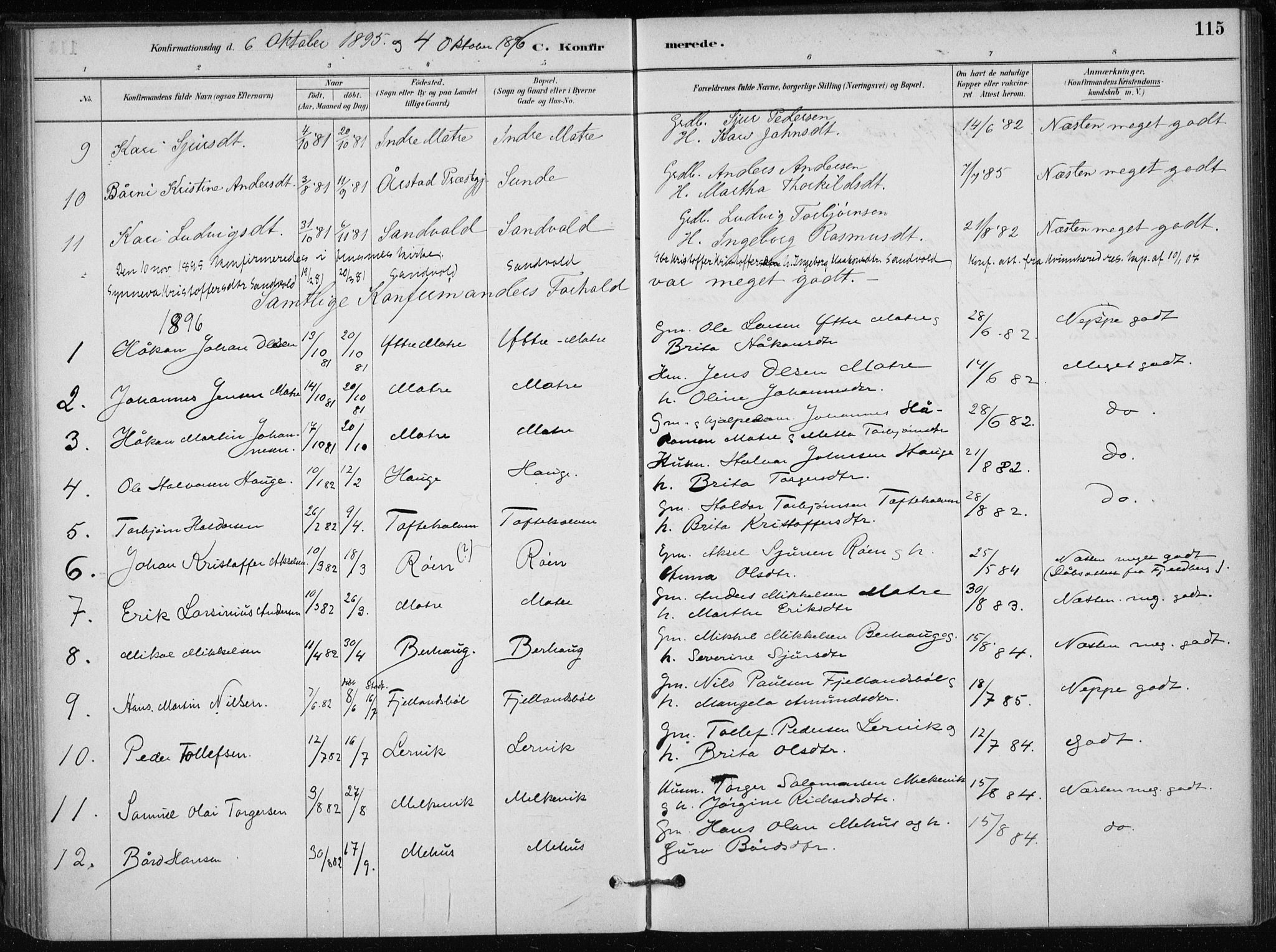 Skånevik sokneprestembete, AV/SAB-A-77801/H/Haa: Parish register (official) no. C  1, 1879-1917, p. 115