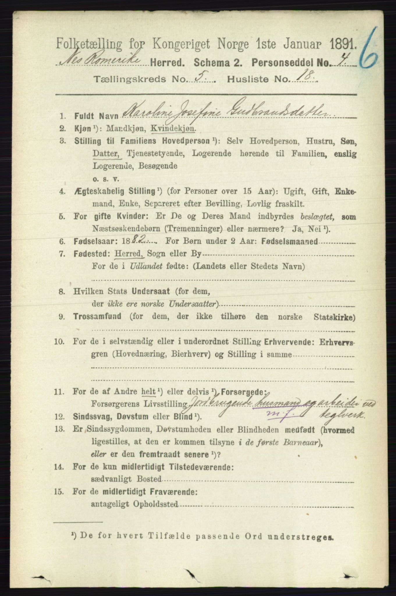 RA, 1891 census for 0236 Nes, 1891, p. 2892