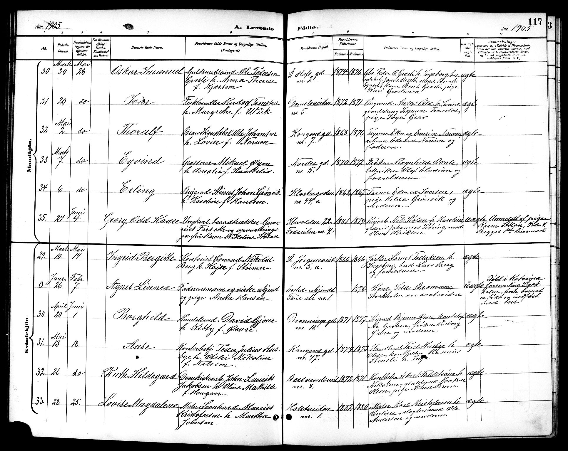 Ministerialprotokoller, klokkerbøker og fødselsregistre - Sør-Trøndelag, AV/SAT-A-1456/601/L0094: Parish register (copy) no. 601C12, 1898-1911, p. 117