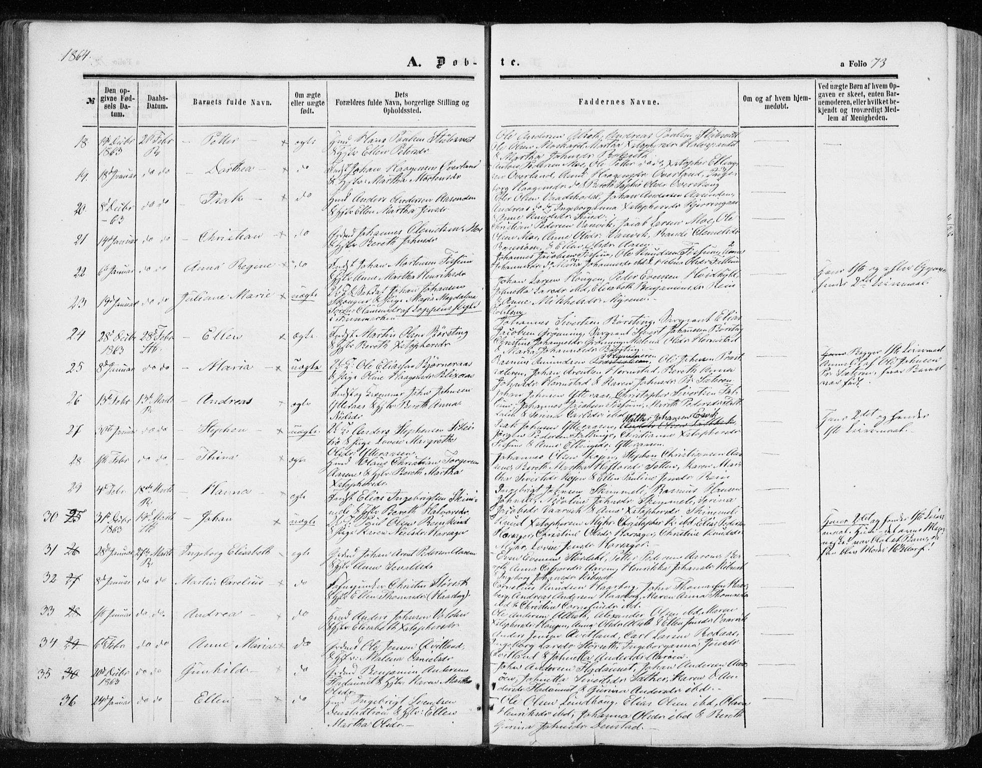 Ministerialprotokoller, klokkerbøker og fødselsregistre - Sør-Trøndelag, SAT/A-1456/646/L0612: Parish register (official) no. 646A10, 1858-1869, p. 73