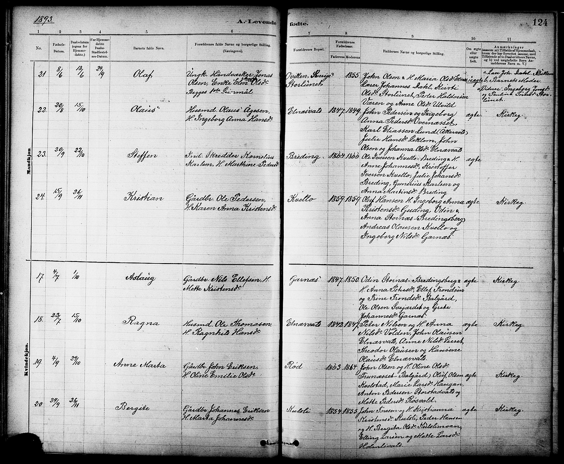 Ministerialprotokoller, klokkerbøker og fødselsregistre - Nord-Trøndelag, AV/SAT-A-1458/724/L0267: Parish register (copy) no. 724C03, 1879-1898, p. 124