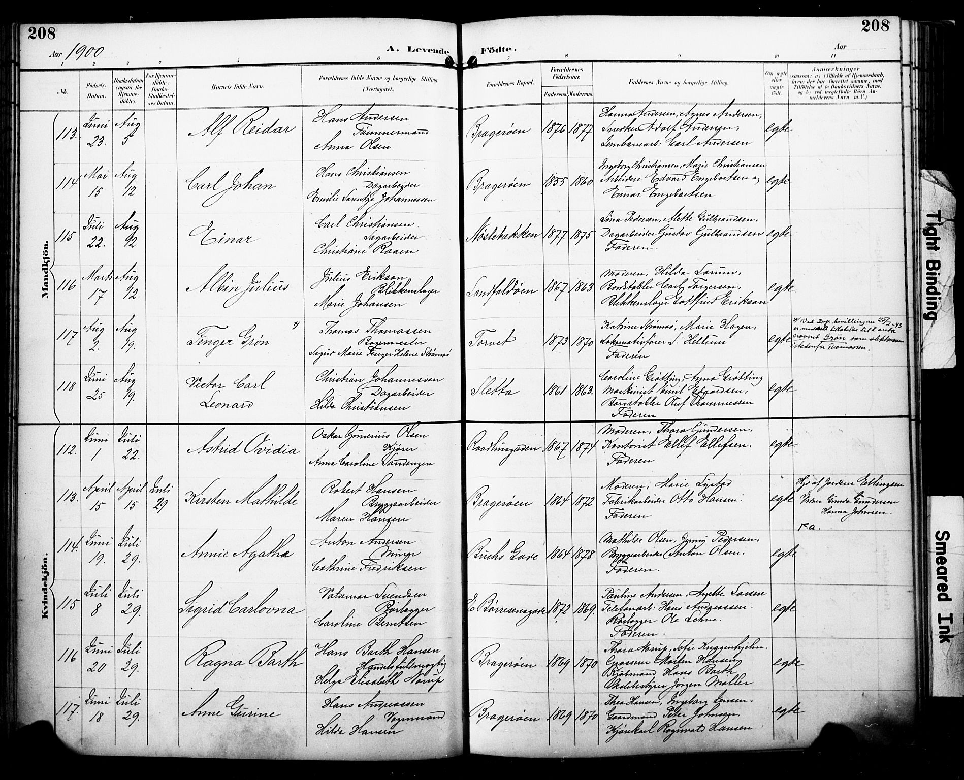 Bragernes kirkebøker, SAKO/A-6/F/Fb/L0008: Parish register (official) no. II 8, 1894-1902, p. 208