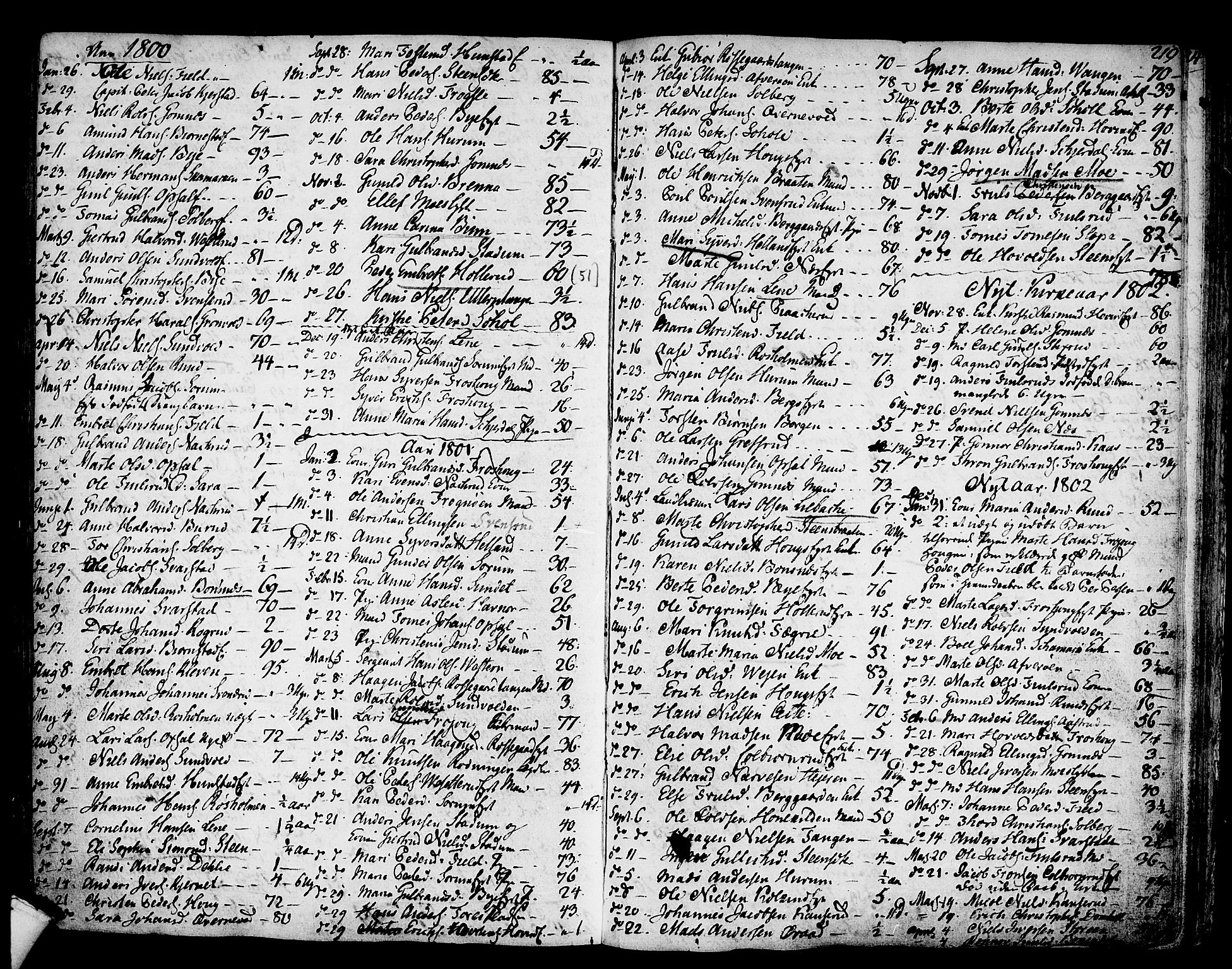 Hole kirkebøker, SAKO/A-228/F/Fa/L0002: Parish register (official) no. I 2, 1766-1814, p. 219