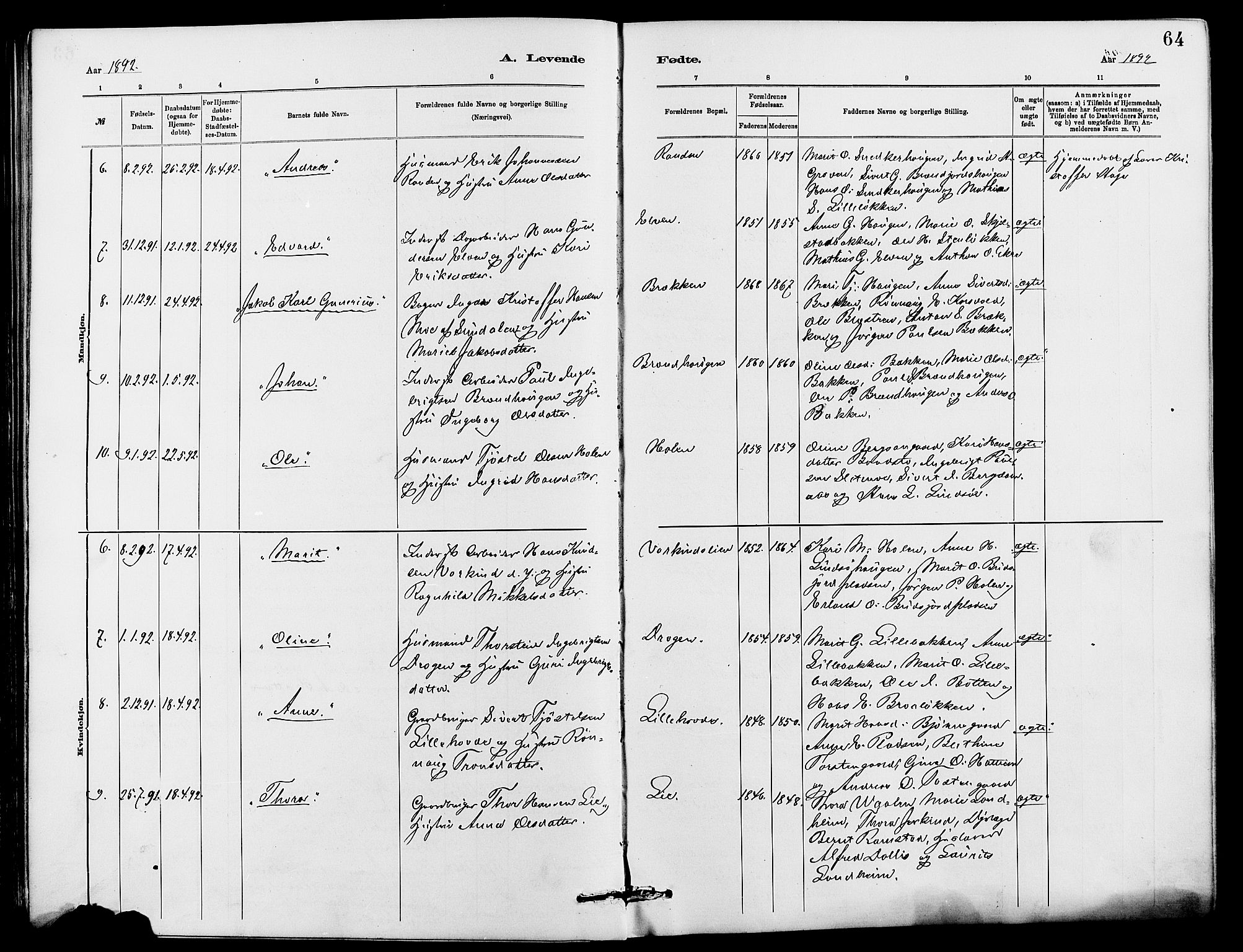 Dovre prestekontor, SAH/PREST-066/H/Ha/Hab/L0002: Parish register (copy) no. 2, 1881-1907, p. 64