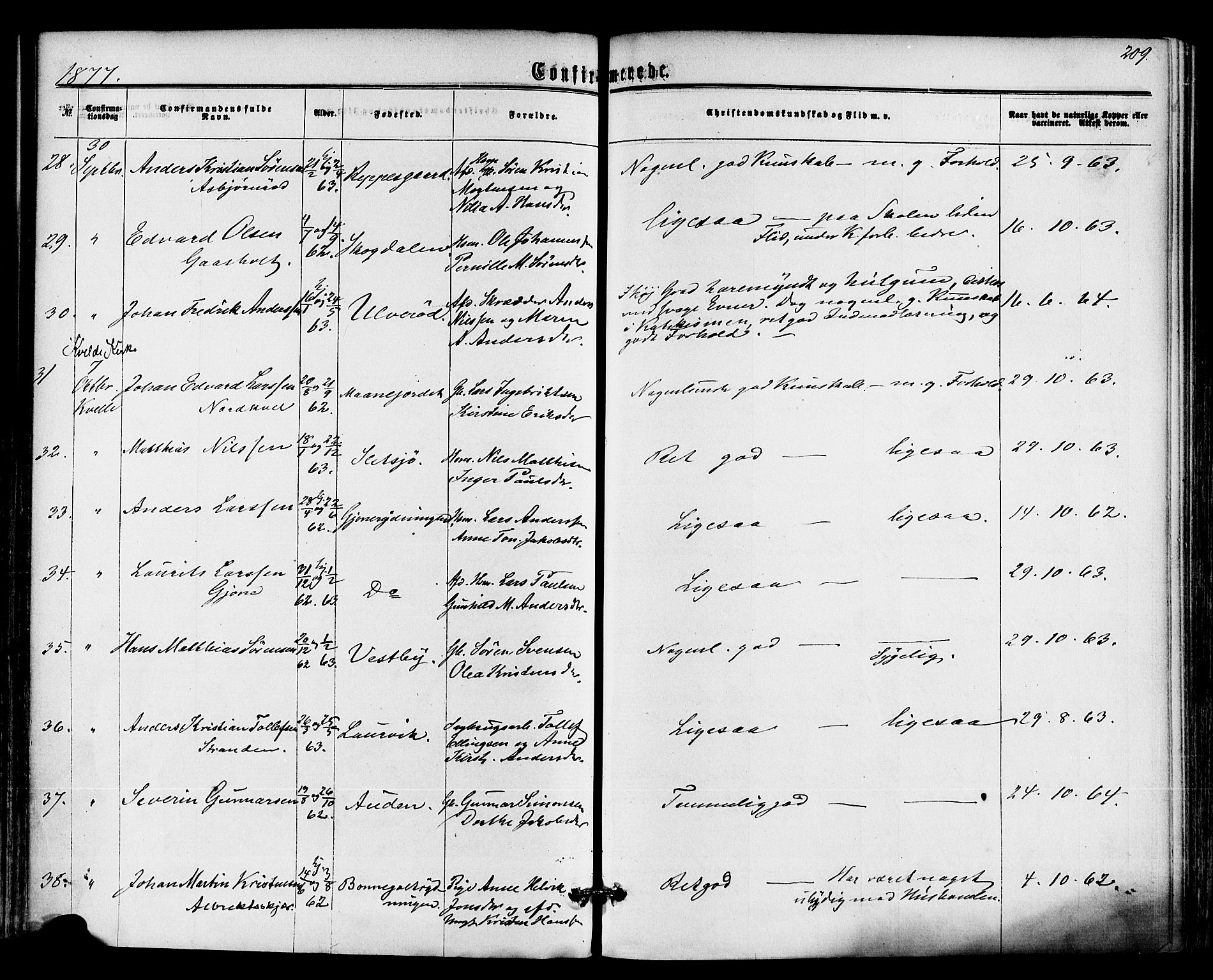 Hedrum kirkebøker, AV/SAKO-A-344/F/Fa/L0008: Parish register (official) no. I 8, 1869-1880, p. 209