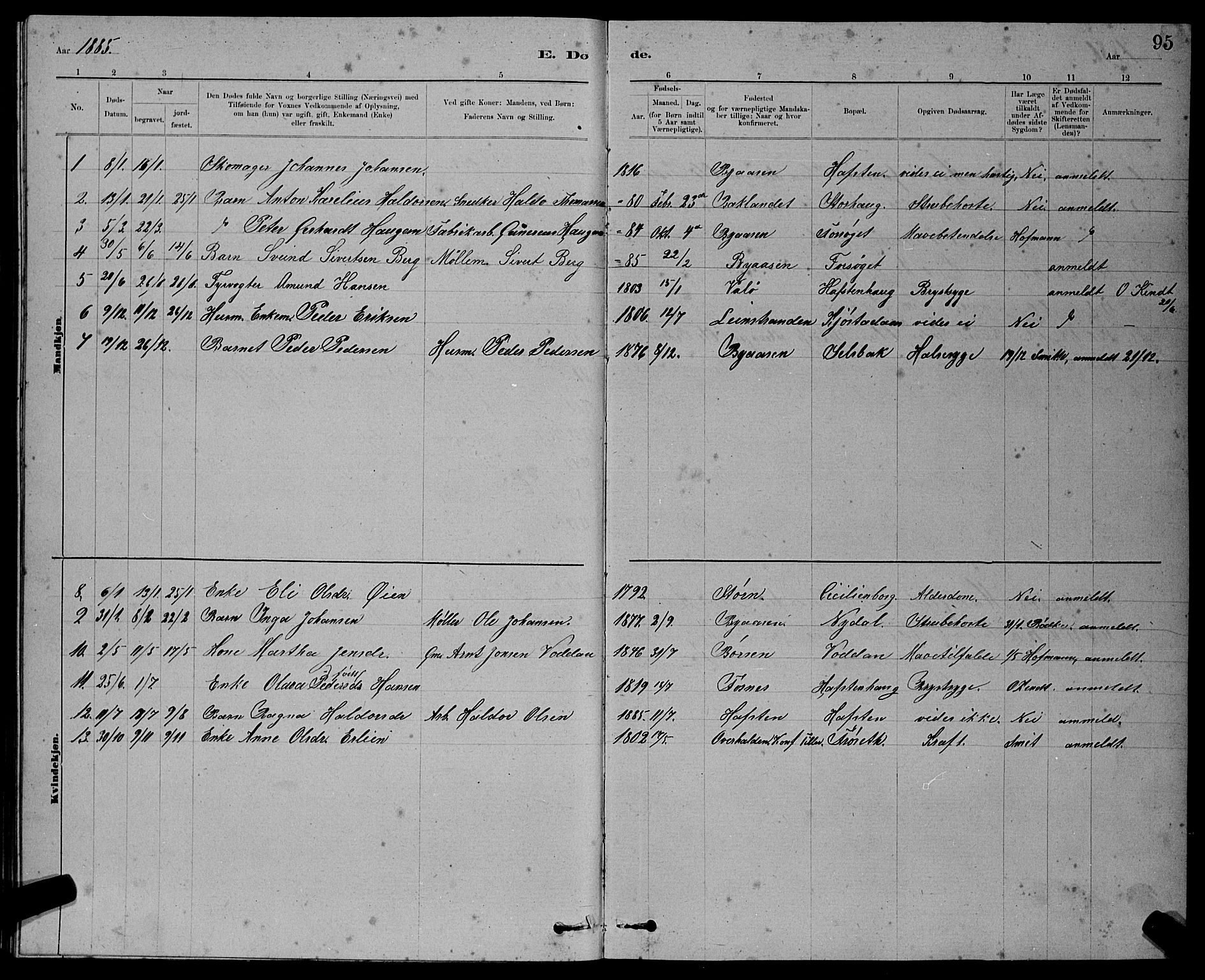 Ministerialprotokoller, klokkerbøker og fødselsregistre - Sør-Trøndelag, AV/SAT-A-1456/611/L0354: Parish register (copy) no. 611C02, 1881-1896, p. 95