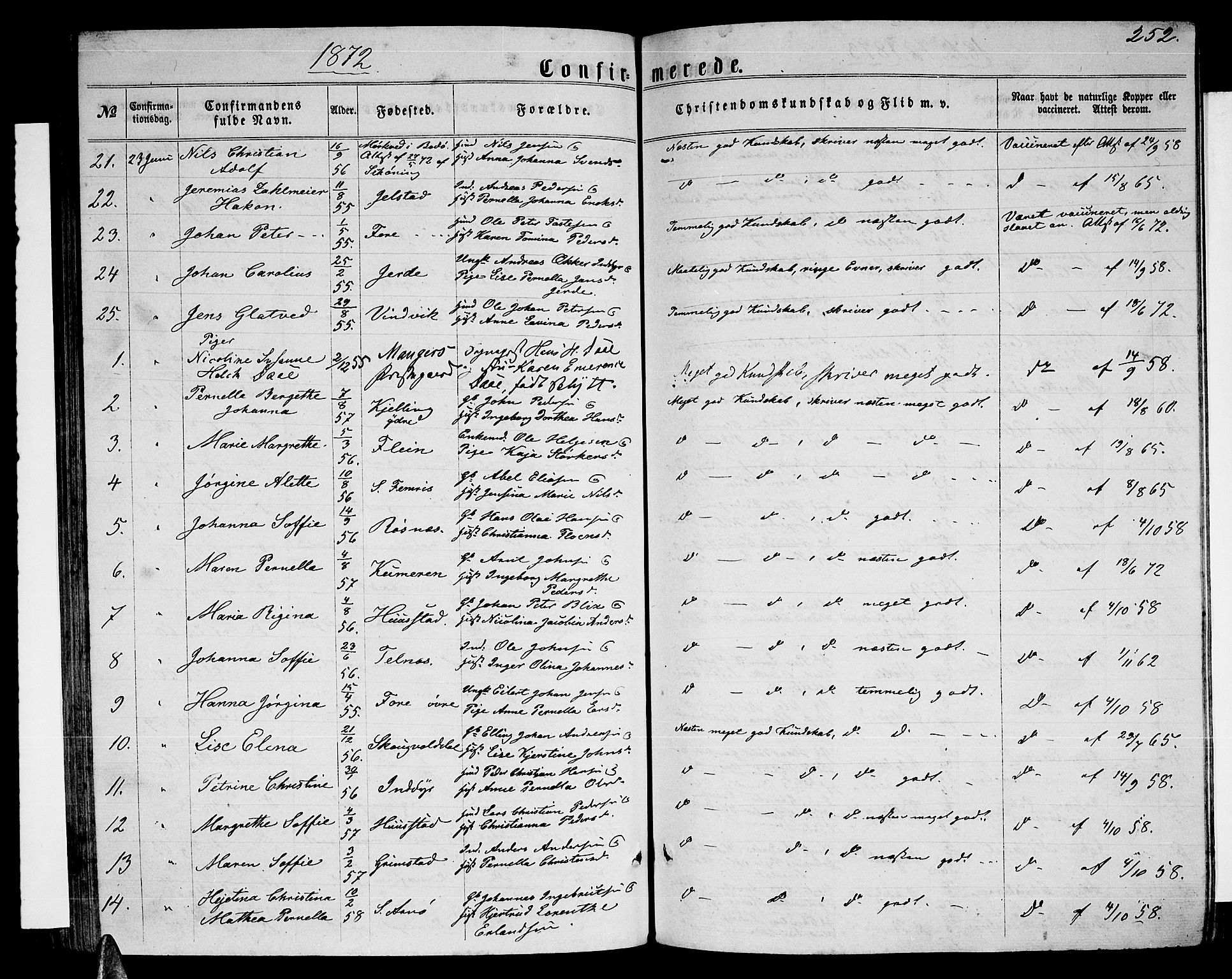 Ministerialprotokoller, klokkerbøker og fødselsregistre - Nordland, AV/SAT-A-1459/805/L0107: Parish register (copy) no. 805C03, 1862-1885, p. 252