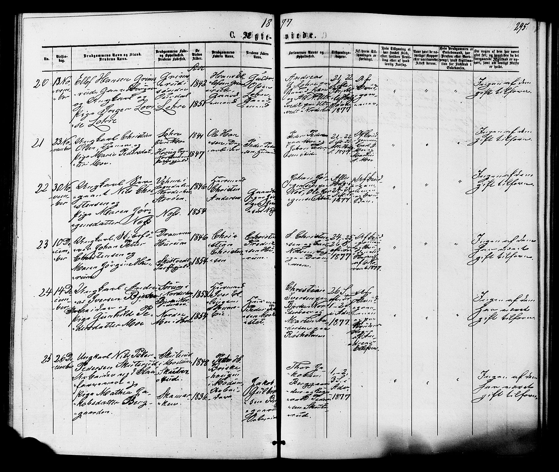 Hole kirkebøker, SAKO/A-228/F/Fa/L0007: Parish register (official) no. I 7, 1873-1877, p. 295