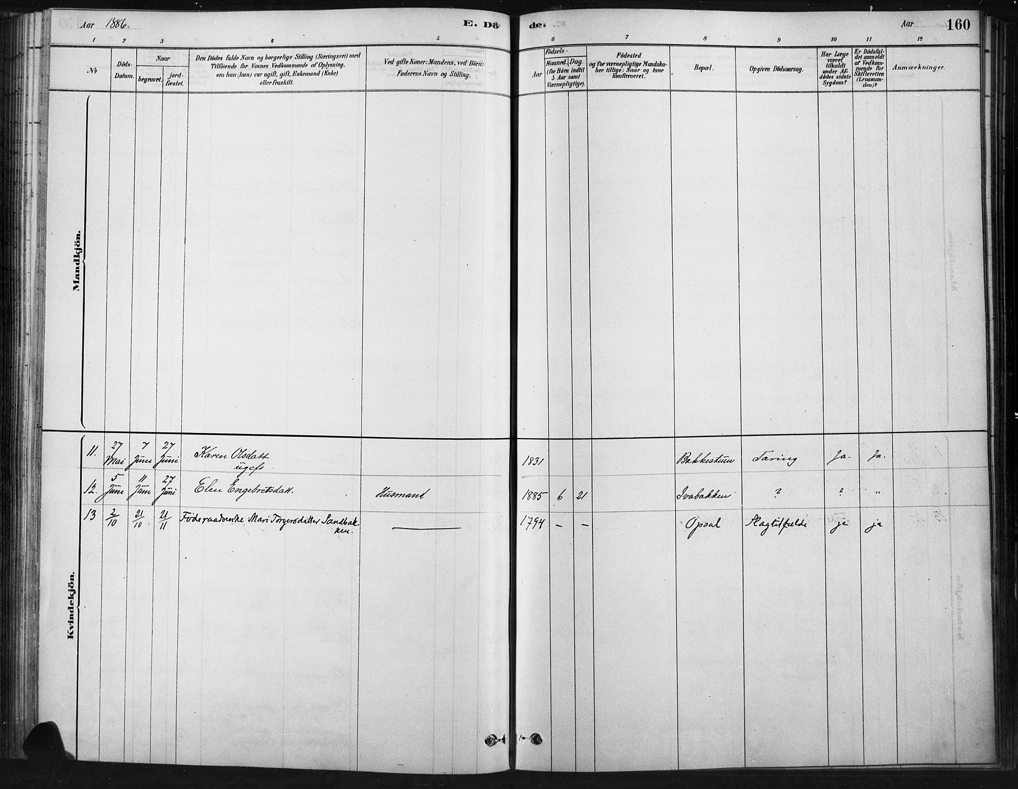 Ringebu prestekontor, SAH/PREST-082/H/Ha/Haa/L0009: Parish register (official) no. 9, 1878-1898, p. 160