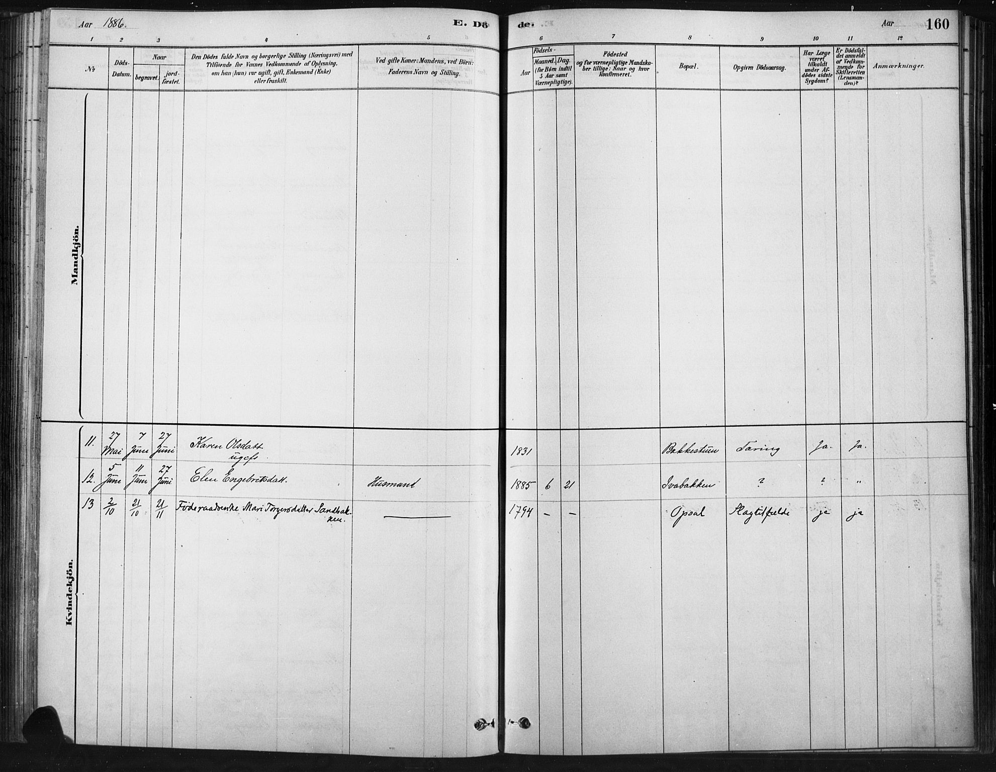 Ringebu prestekontor, AV/SAH-PREST-082/H/Ha/Haa/L0009: Parish register (official) no. 9, 1878-1898, p. 160