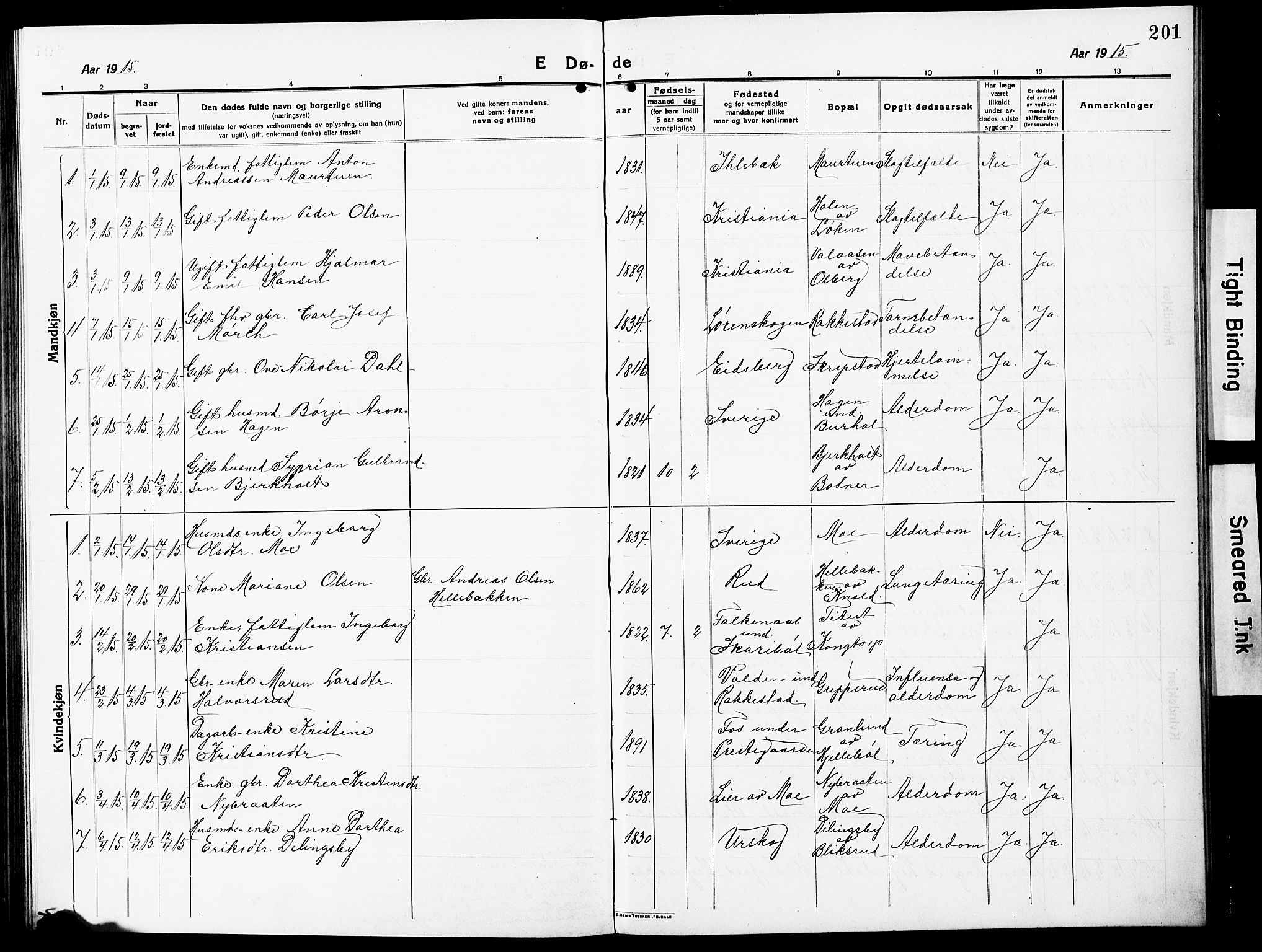 Høland prestekontor Kirkebøker, AV/SAO-A-10346a/G/Ga/L0008: Parish register (copy) no. I 8, 1915-1929, p. 201