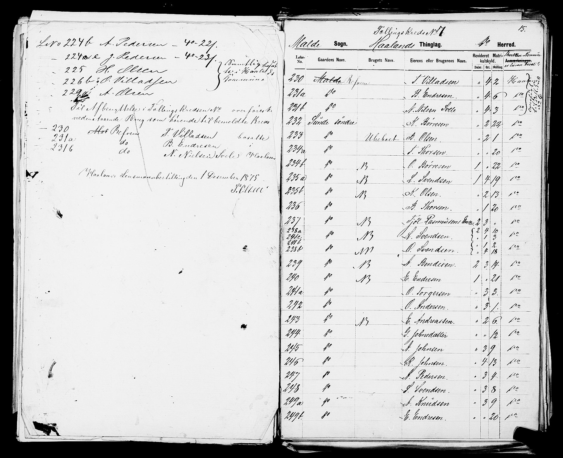 SAST, 1875 census for 1124P Håland, 1875, p. 45