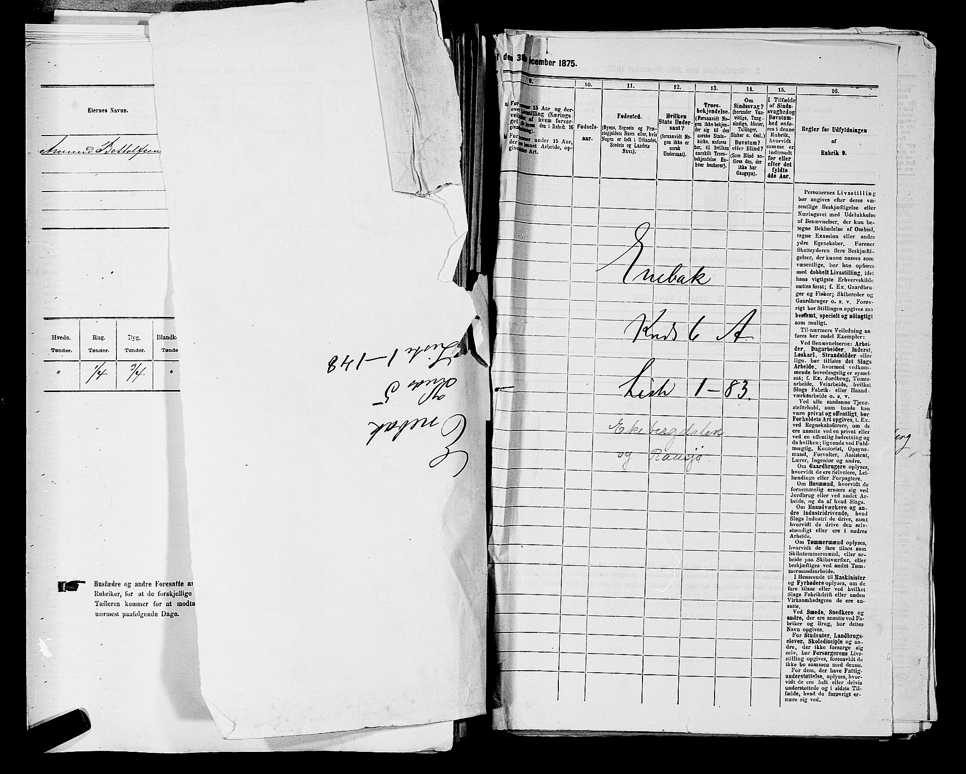 RA, 1875 census for 0229P Enebakk, 1875, p. 959