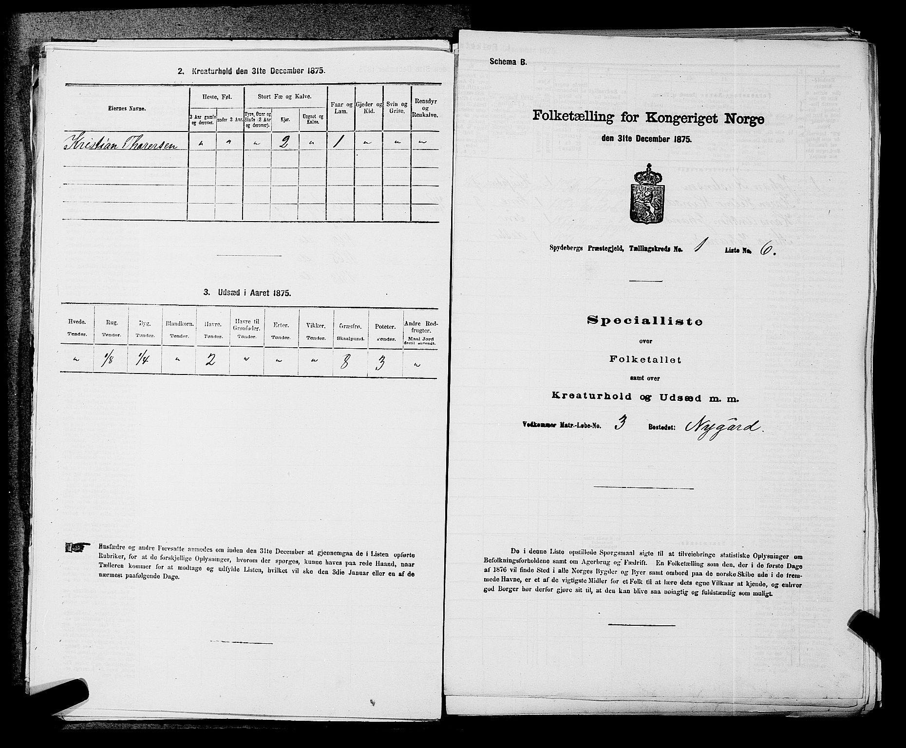 RA, 1875 census for 0123P Spydeberg, 1875, p. 55