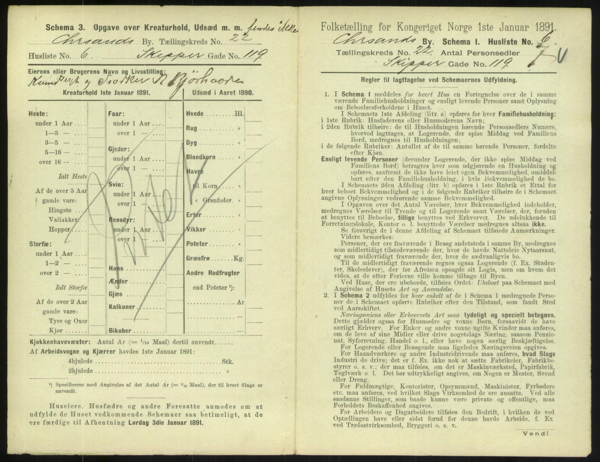 RA, 1891 census for 1001 Kristiansand, 1891, p. 1306