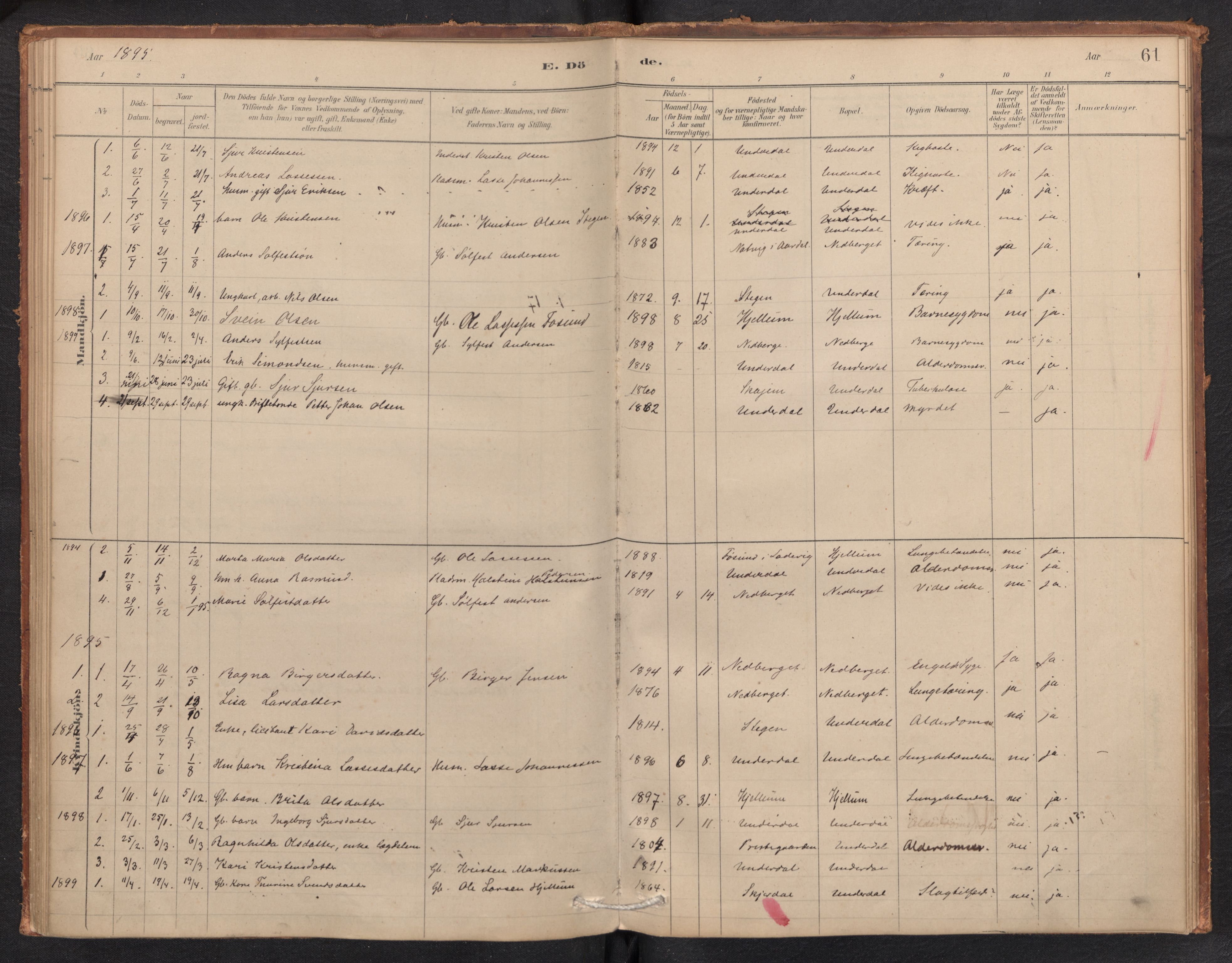 Aurland sokneprestembete, SAB/A-99937/H/Ha/Hae/L0001: Parish register (official) no. E 1, 1880-1907, p. 60b-61a