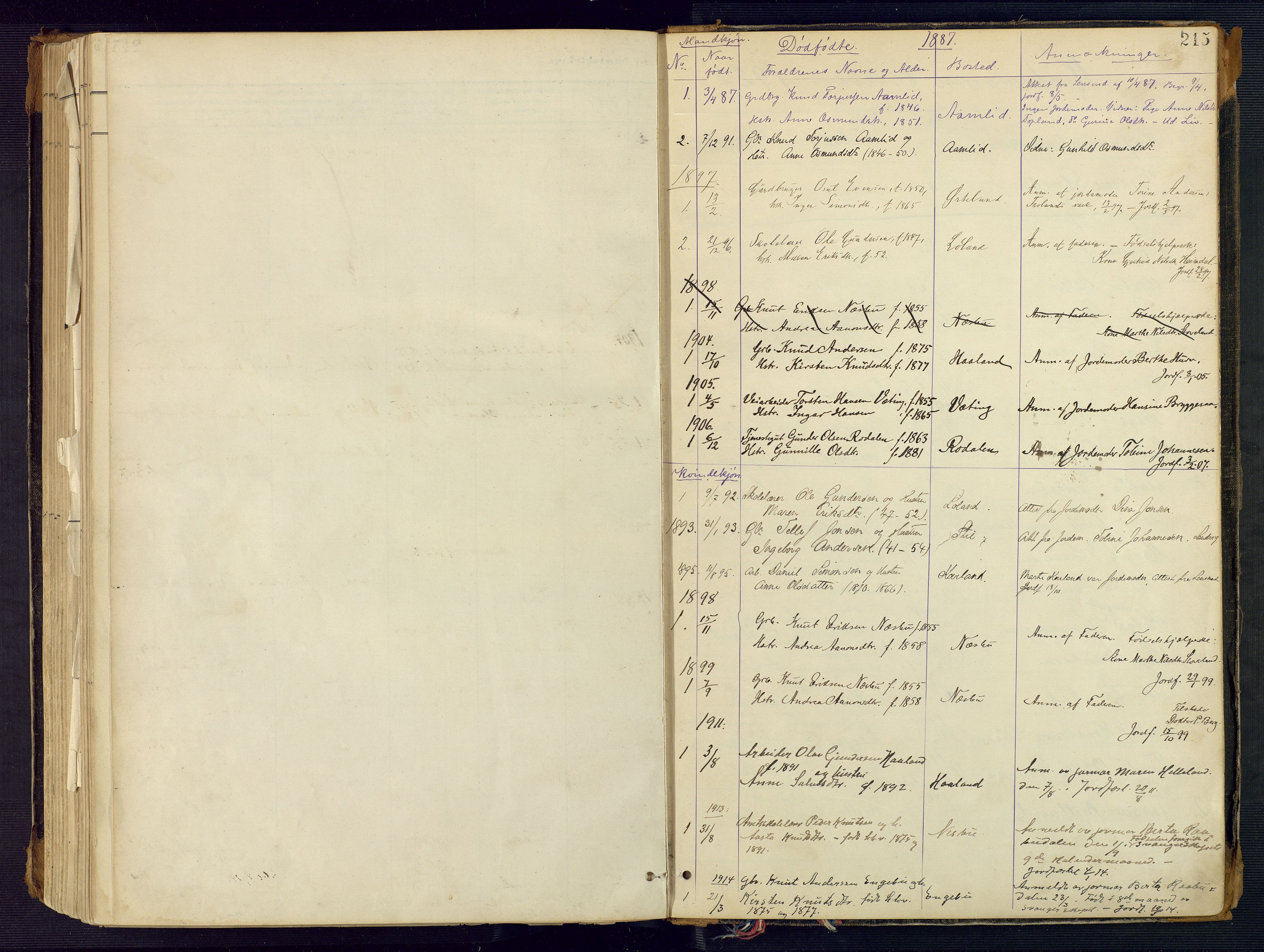 Herefoss sokneprestkontor, AV/SAK-1111-0019/F/Fa/Faa/L0003: Parish register (official) no. A 3, 1887-1930, p. 215