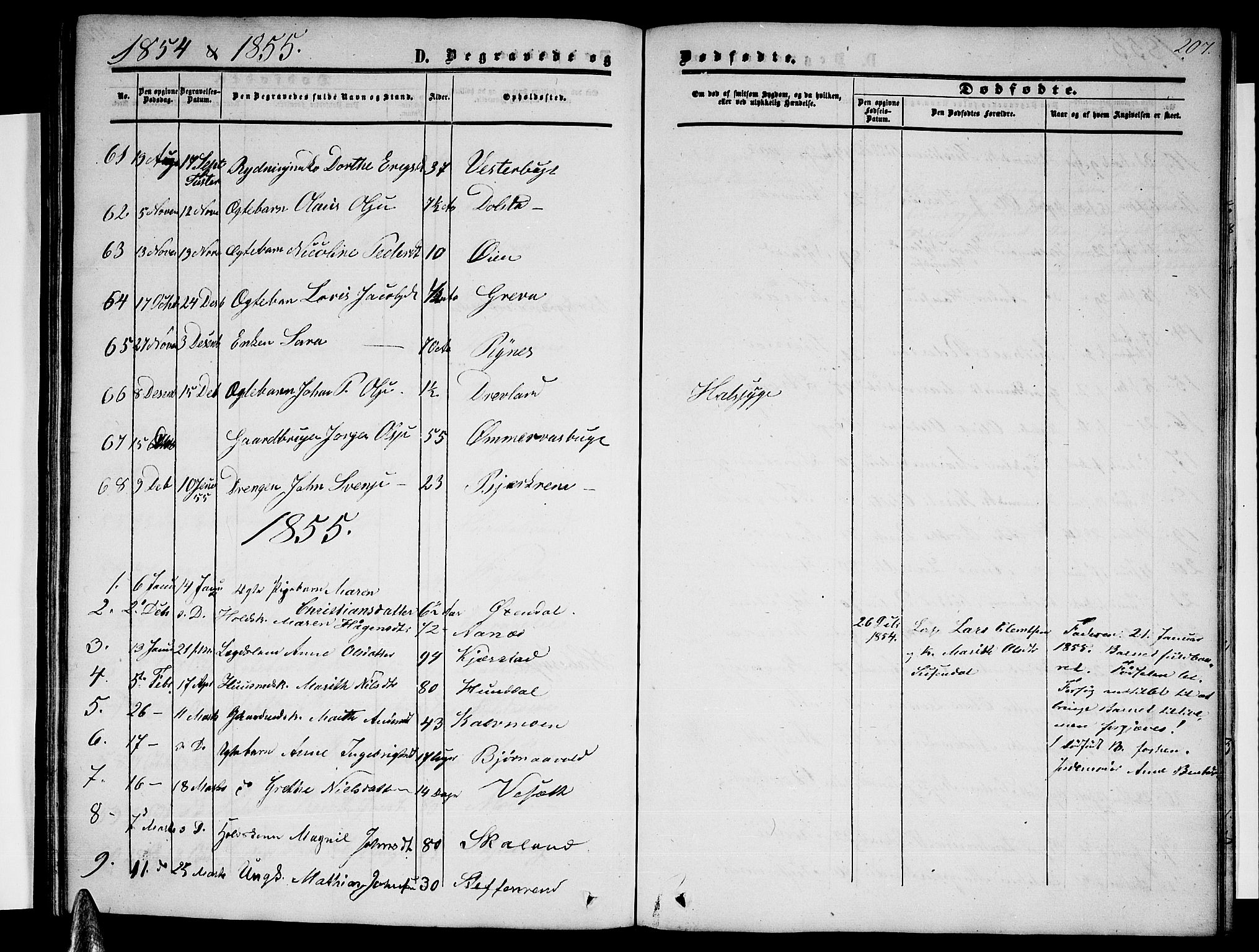 Ministerialprotokoller, klokkerbøker og fødselsregistre - Nordland, AV/SAT-A-1459/820/L0301: Parish register (copy) no. 820C03, 1851-1858, p. 207