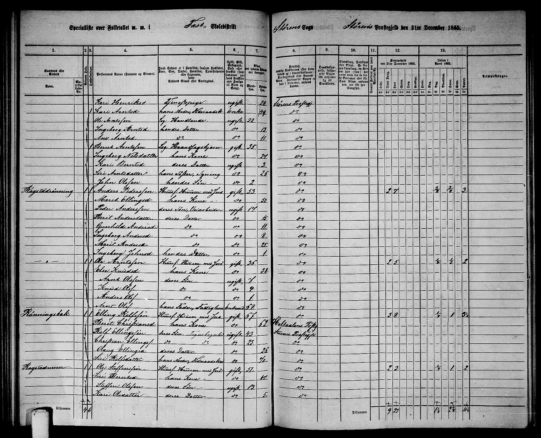 RA, 1865 census for Støren, 1865, p. 89