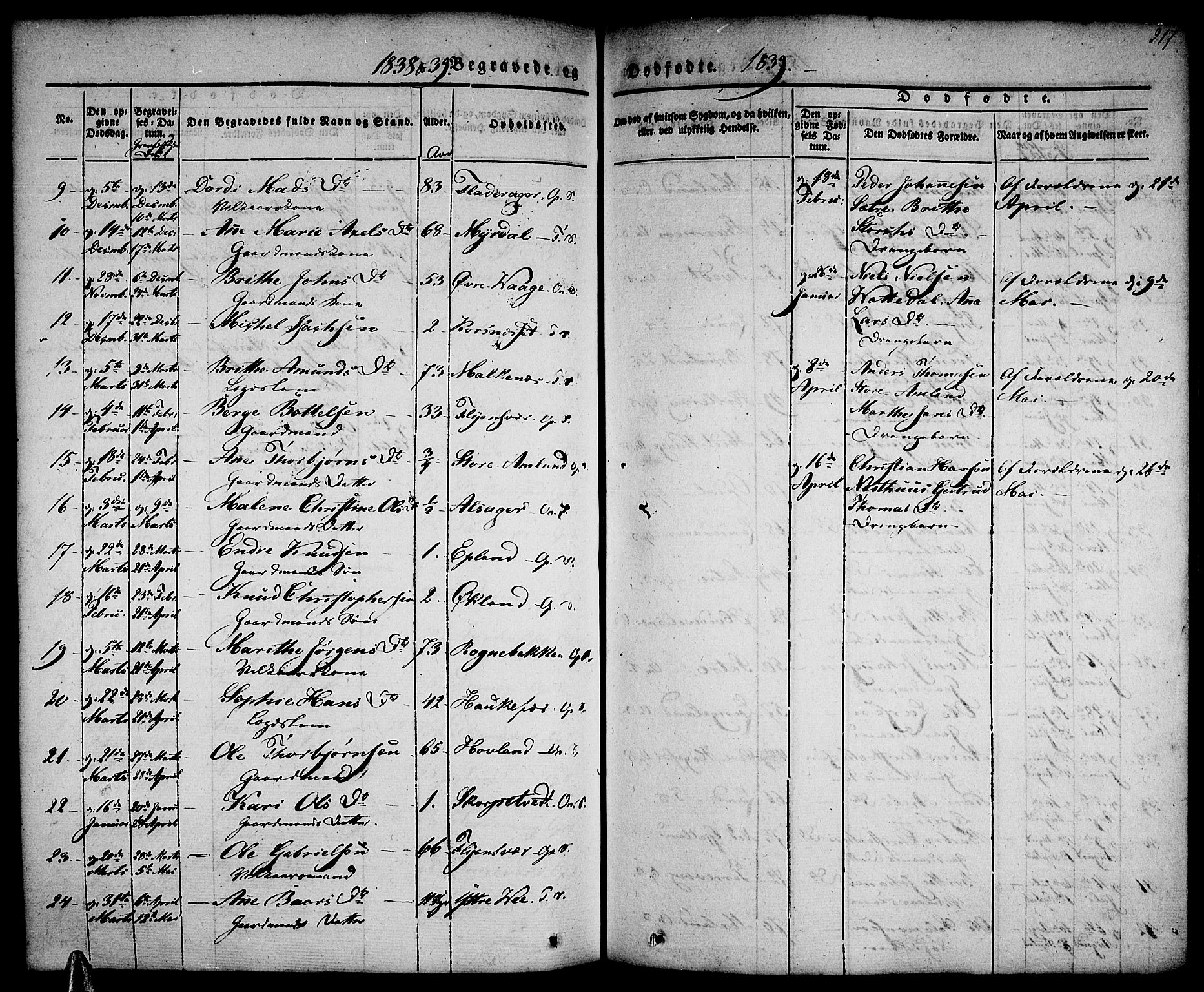 Tysnes sokneprestembete, SAB/A-78601/H/Haa: Parish register (official) no. A 9, 1837-1848, p. 217