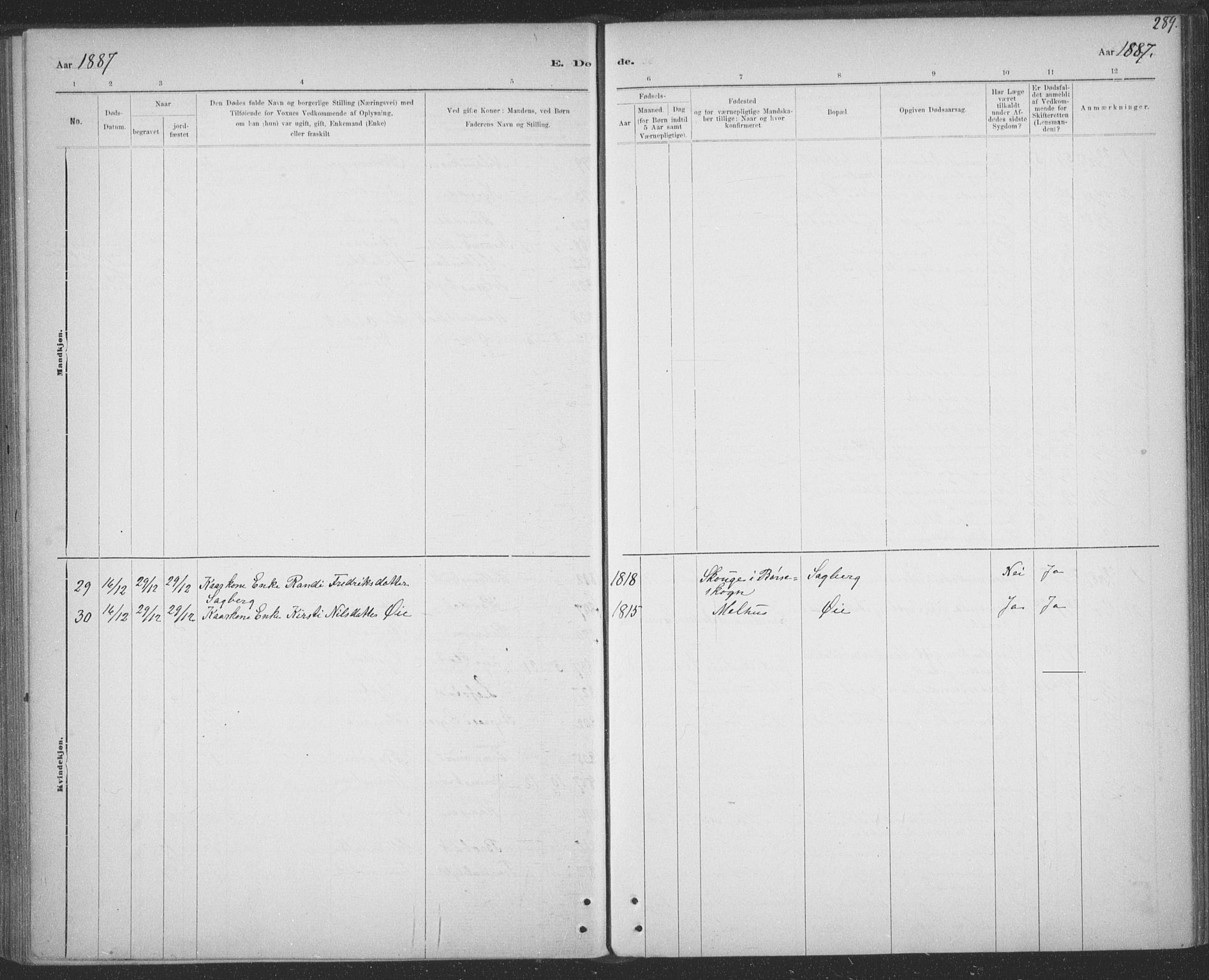 Ministerialprotokoller, klokkerbøker og fødselsregistre - Sør-Trøndelag, AV/SAT-A-1456/691/L1085: Parish register (official) no. 691A17, 1887-1908, p. 289