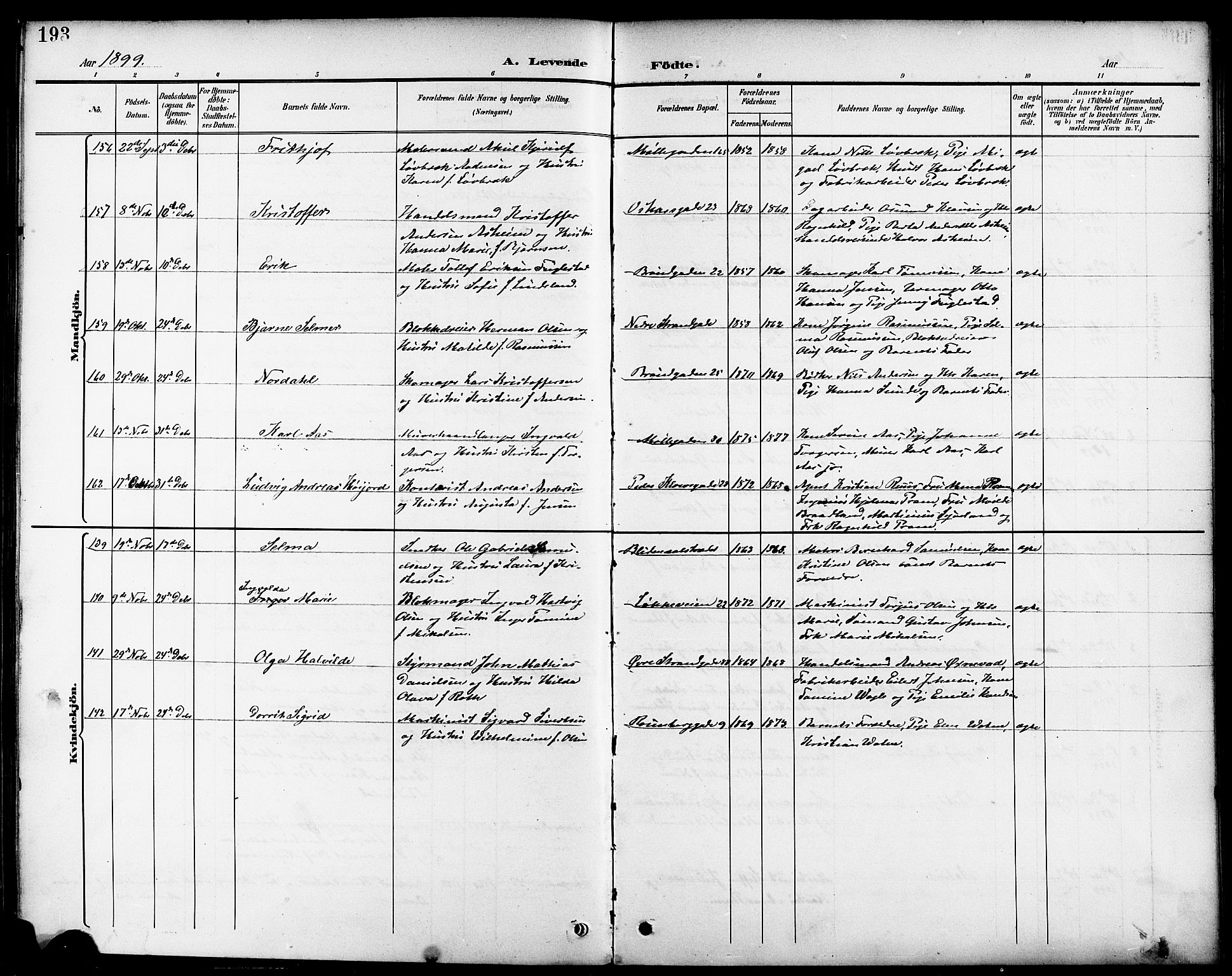 Domkirken sokneprestkontor, AV/SAST-A-101812/001/30/30BB/L0016: Parish register (copy) no. B 16, 1891-1902, p. 193