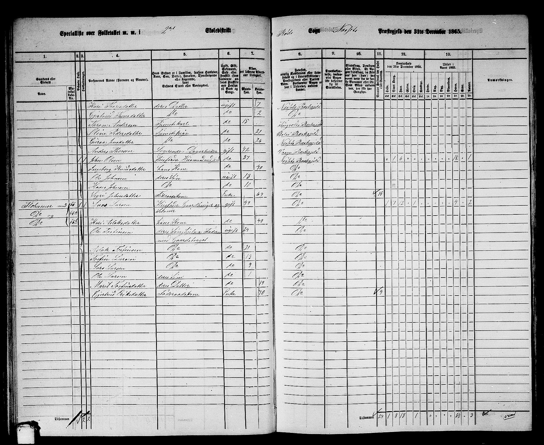 RA, 1865 census for Nesset, 1865, p. 49