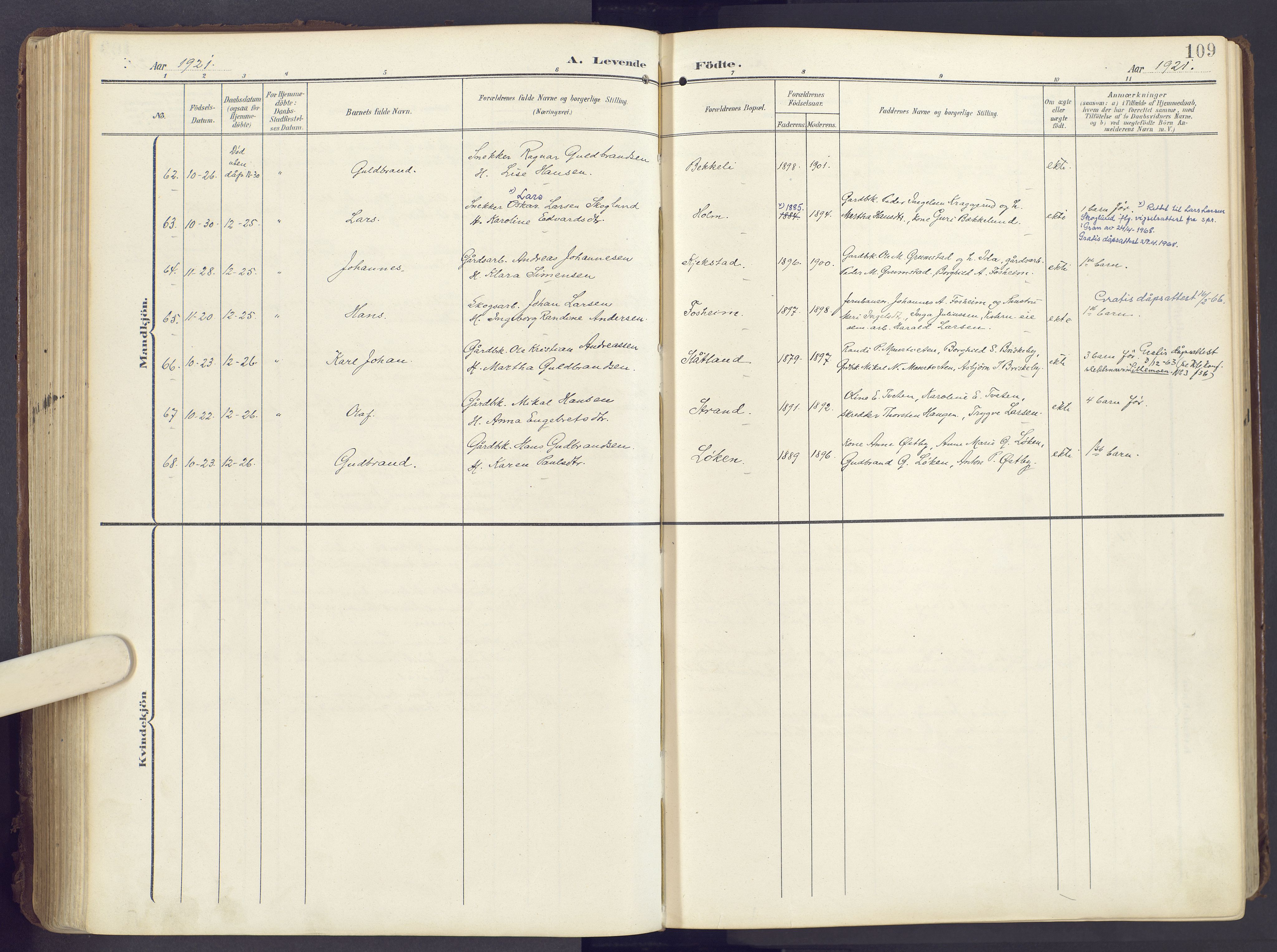 Lunner prestekontor, SAH/PREST-118/H/Ha/Haa/L0001: Parish register (official) no. 1, 1907-1922, p. 109