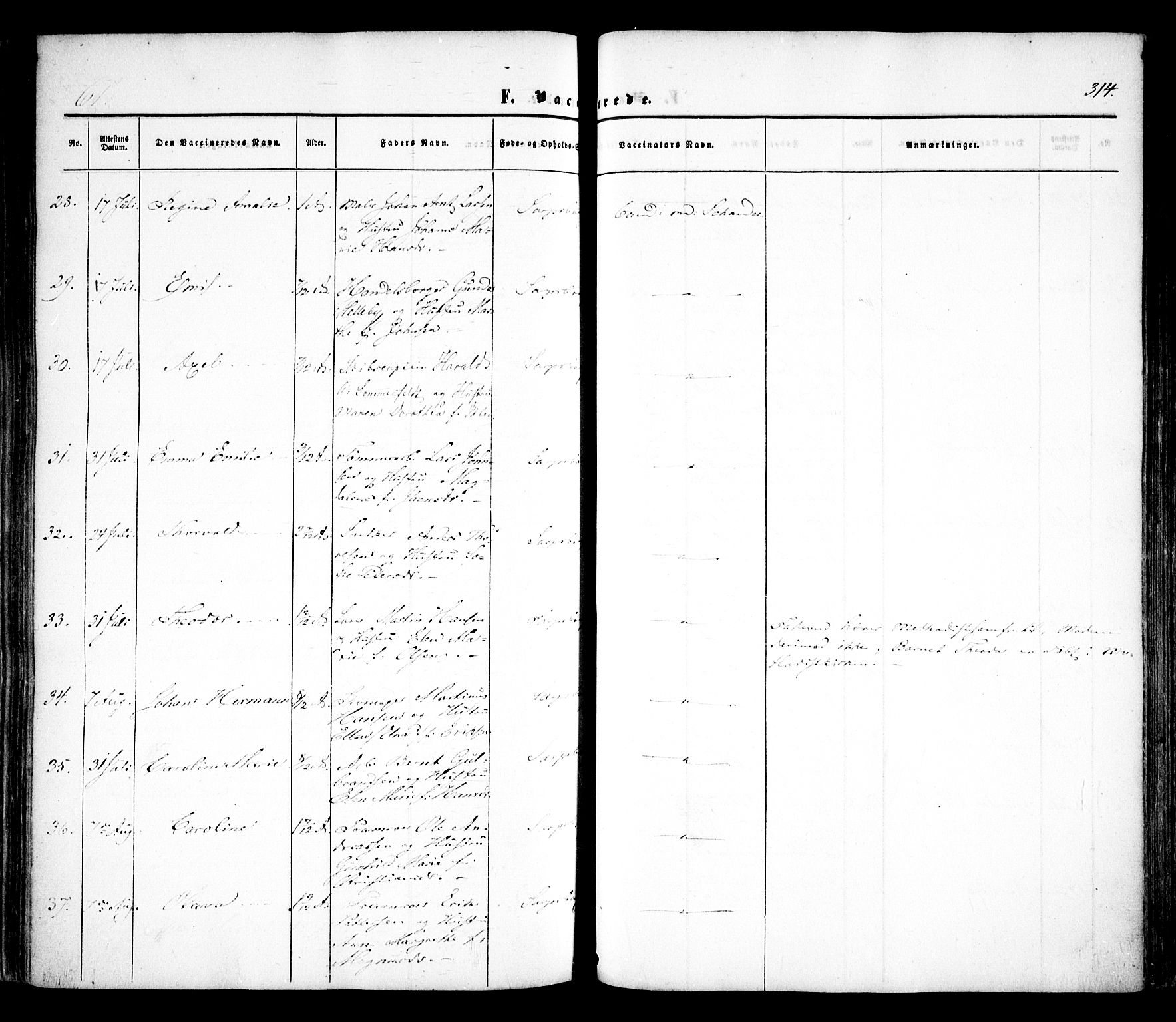 Sarpsborg prestekontor Kirkebøker, AV/SAO-A-2006/F/Fa/L0001: Parish register (official) no. 1, 1859-1868, p. 314