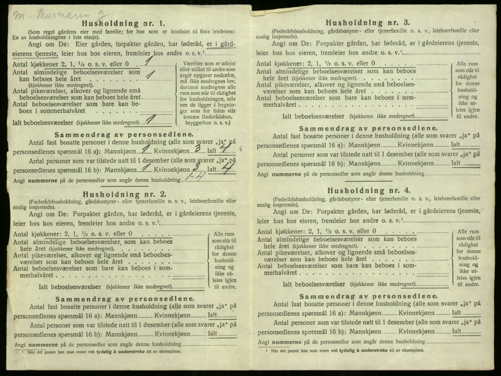 SAO, 1920 census for Nes, 1920, p. 84