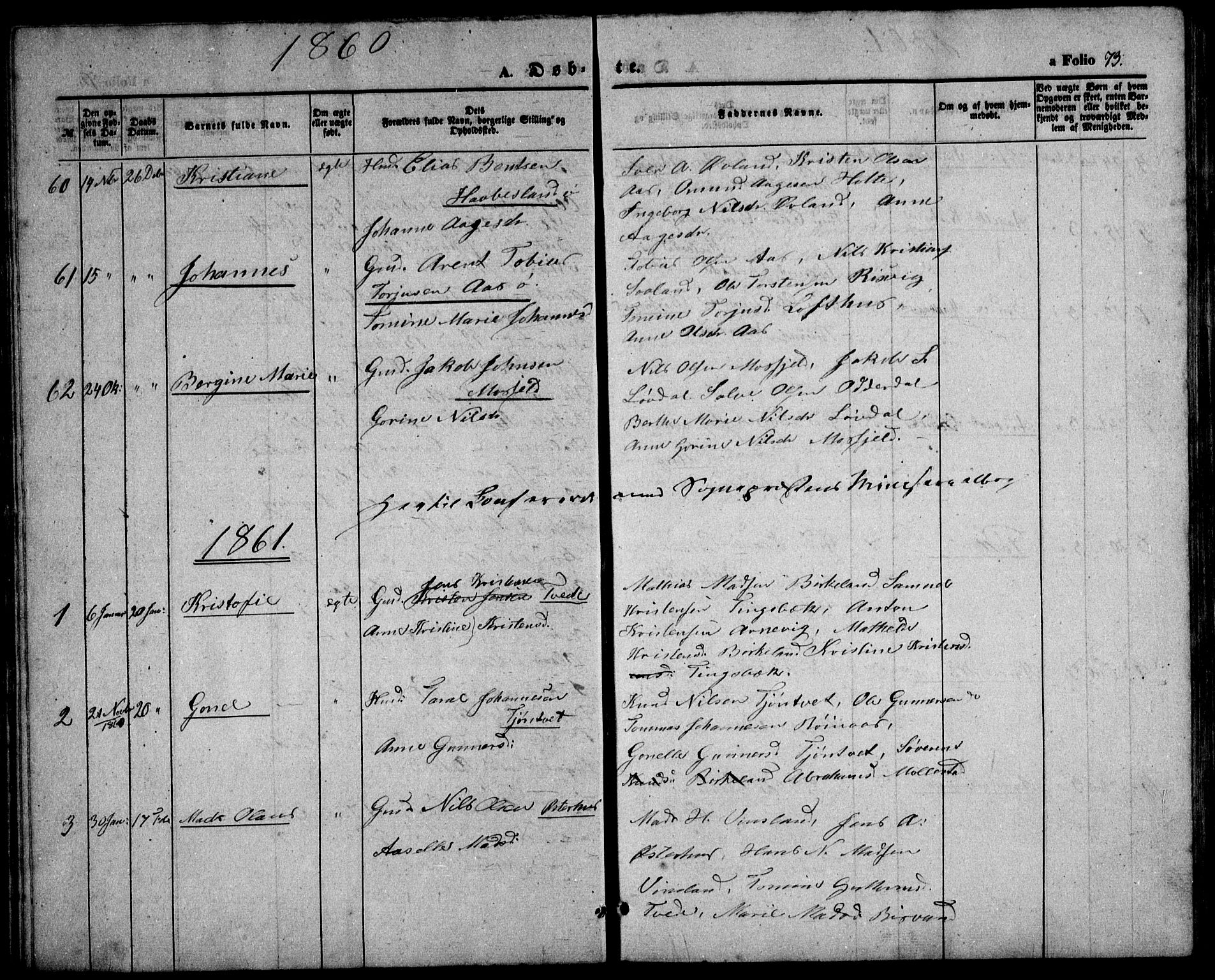 Birkenes sokneprestkontor, AV/SAK-1111-0004/F/Fb/L0002: Parish register (copy) no. B 2, 1849-1876, p. 73