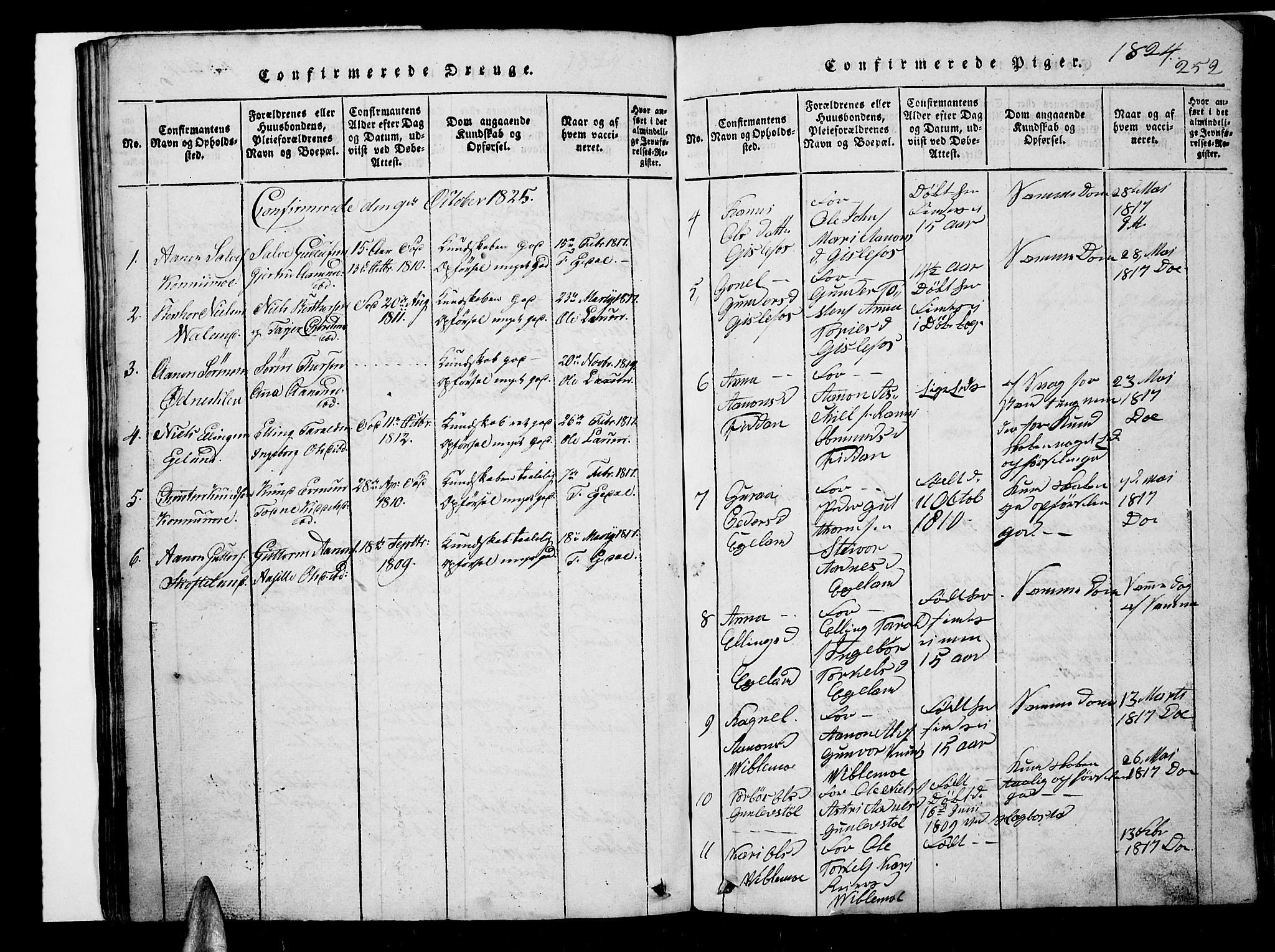 Nord-Audnedal sokneprestkontor, AV/SAK-1111-0032/F/Fb/Fba/L0001: Parish register (copy) no. B 1, 1815-1856, p. 252