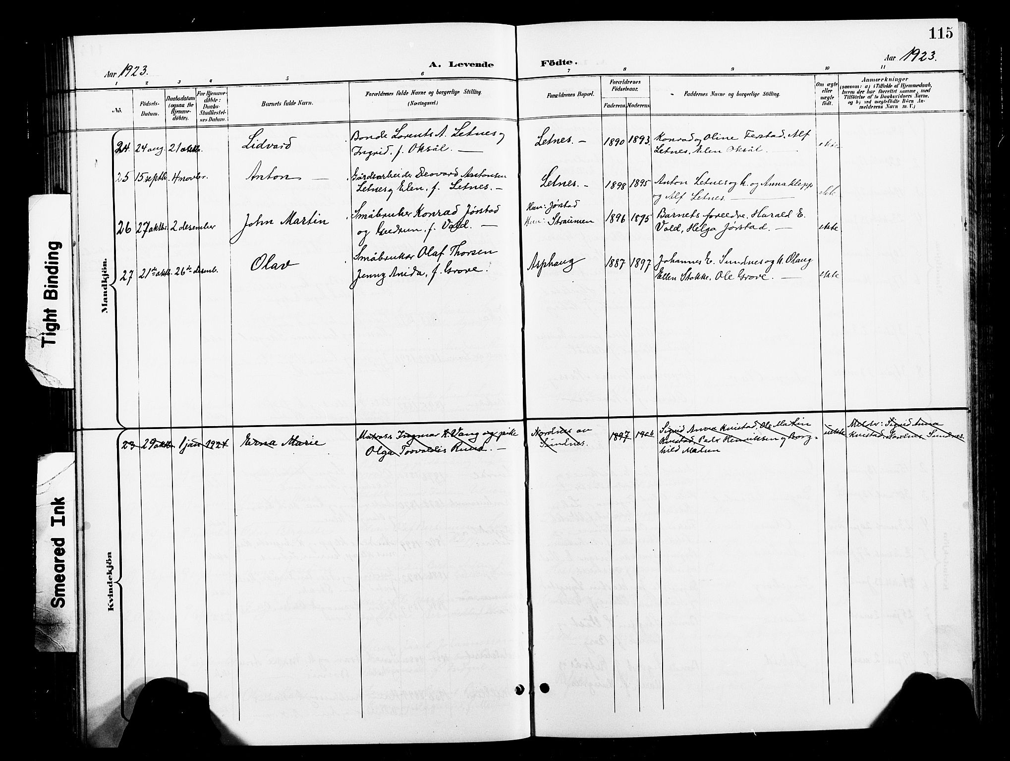 Ministerialprotokoller, klokkerbøker og fødselsregistre - Nord-Trøndelag, AV/SAT-A-1458/730/L0302: Parish register (copy) no. 730C05, 1898-1924, p. 115