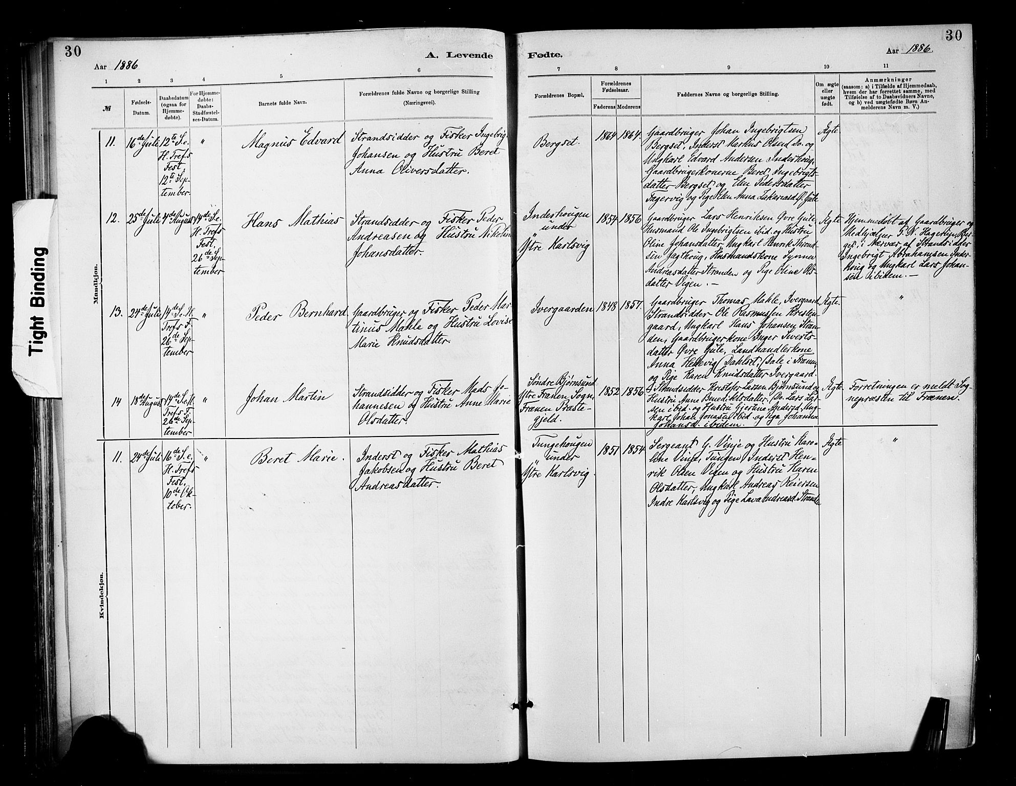 Ministerialprotokoller, klokkerbøker og fødselsregistre - Møre og Romsdal, AV/SAT-A-1454/566/L0769: Parish register (official) no. 566A08, 1881-1903, p. 30