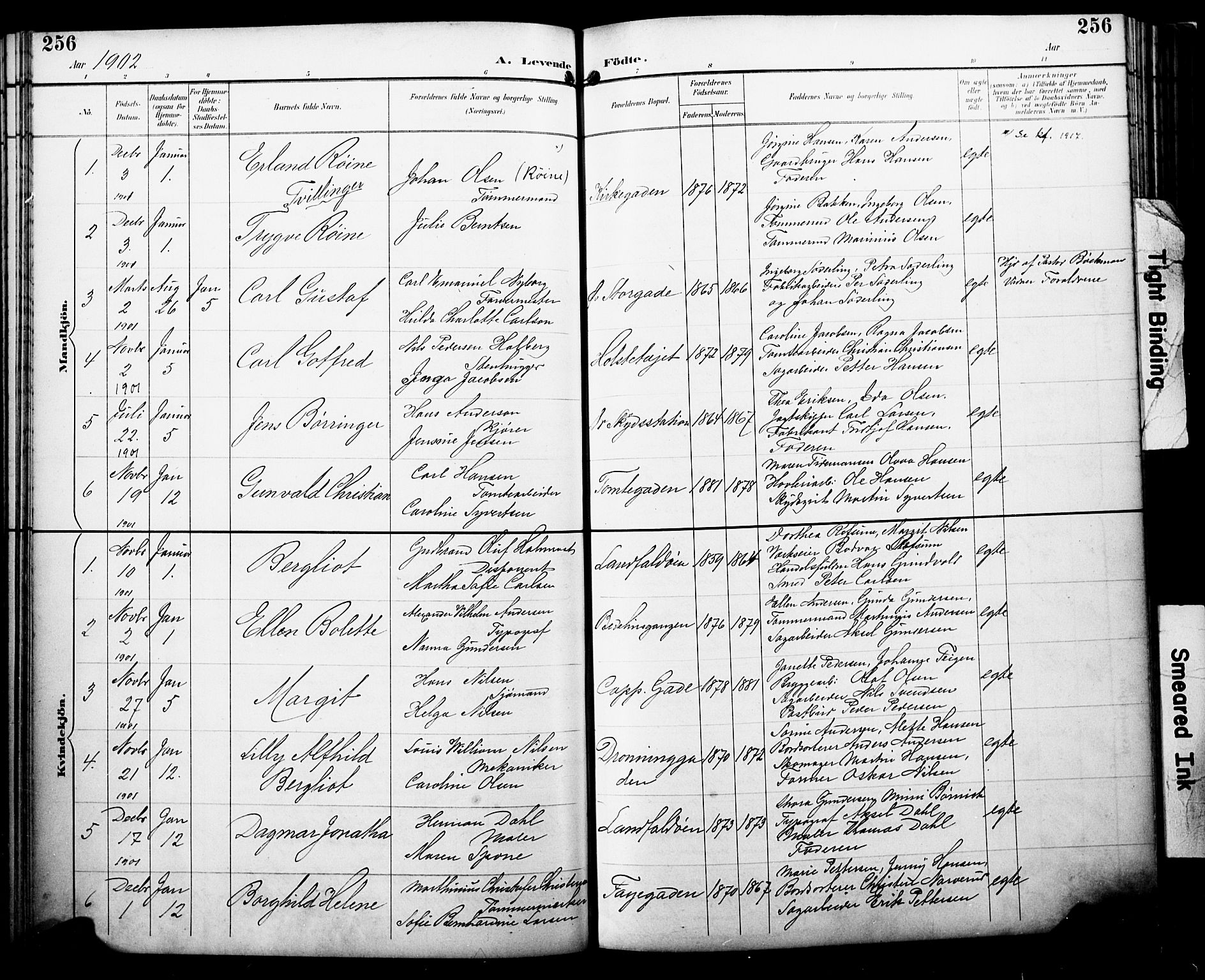 Bragernes kirkebøker, AV/SAKO-A-6/F/Fb/L0008: Parish register (official) no. II 8, 1894-1902, p. 256