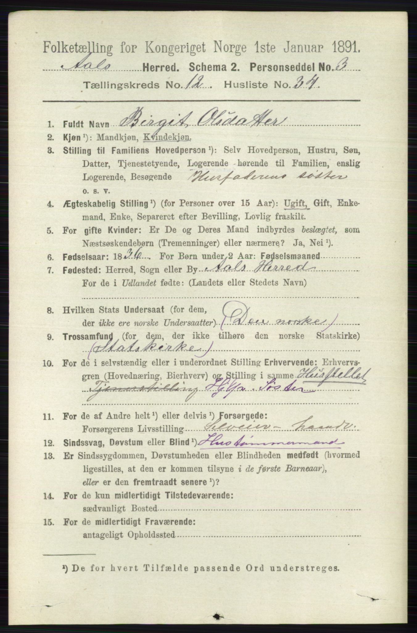 RA, 1891 census for 0619 Ål, 1891, p. 3204