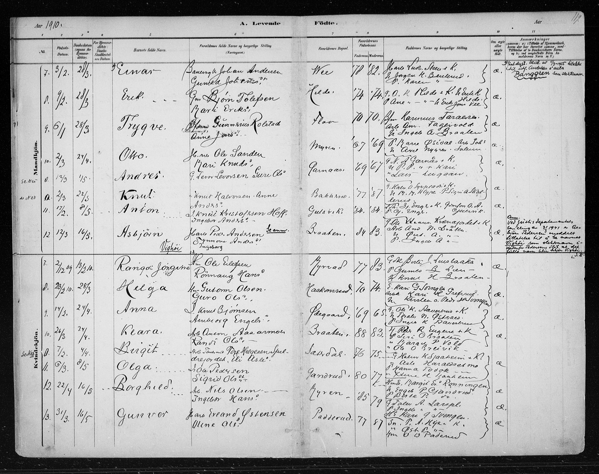 Nes kirkebøker, AV/SAKO-A-236/F/Fa/L0012: Parish register (official) no. 12, 1881-1917, p. 119