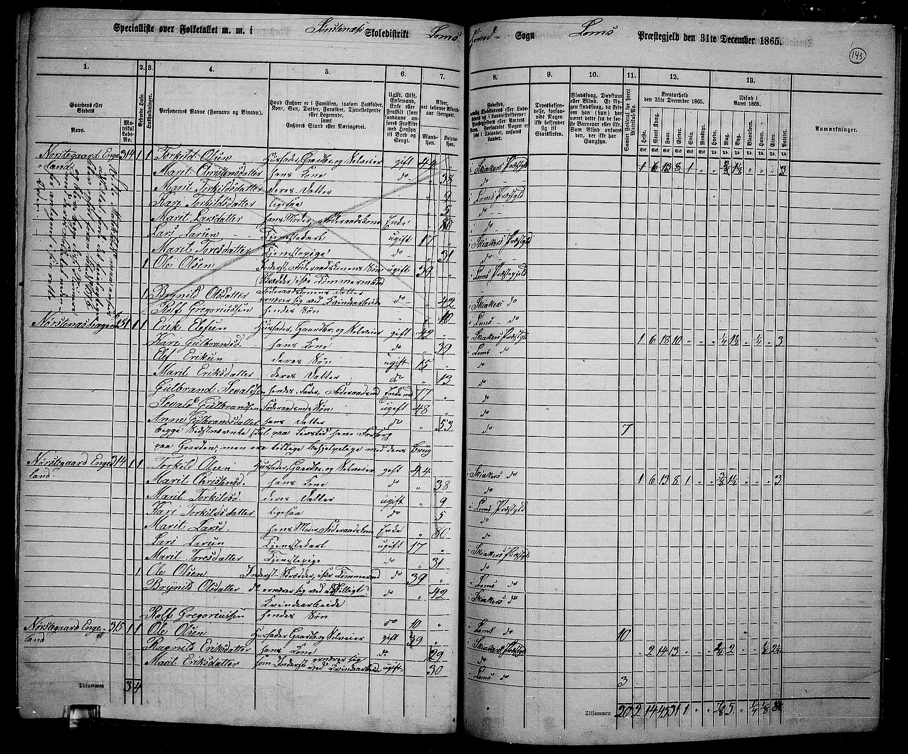 RA, 1865 census for Lom, 1865, p. 129