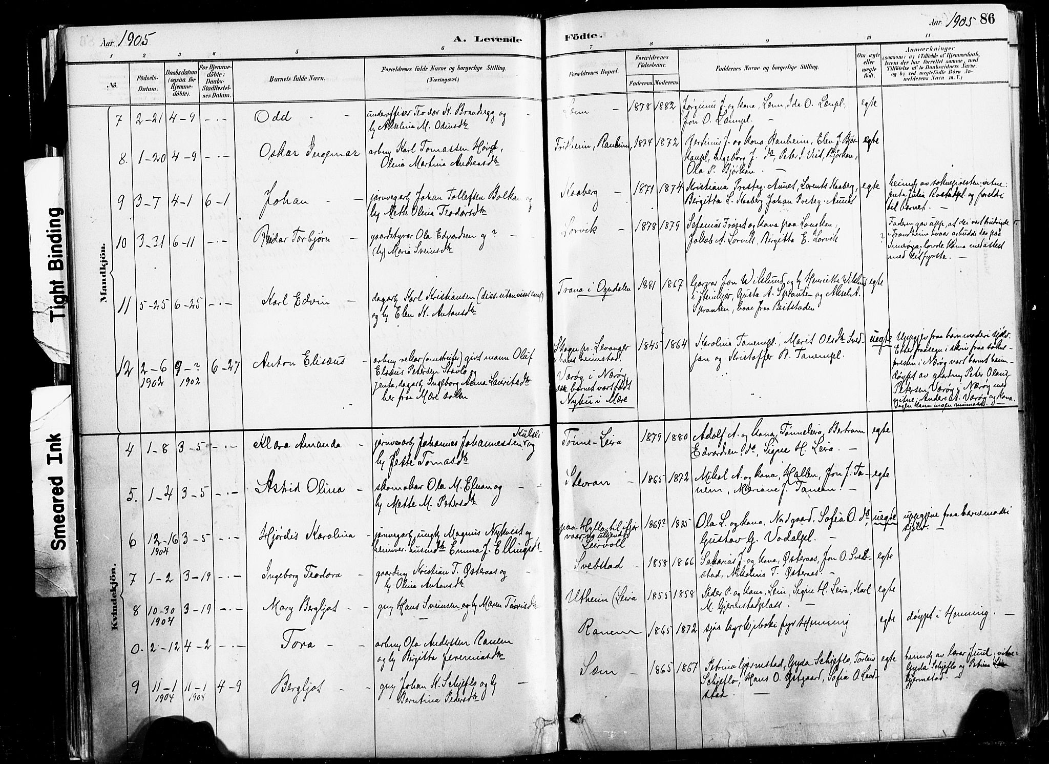 Ministerialprotokoller, klokkerbøker og fødselsregistre - Nord-Trøndelag, SAT/A-1458/735/L0351: Parish register (official) no. 735A10, 1884-1908, p. 86