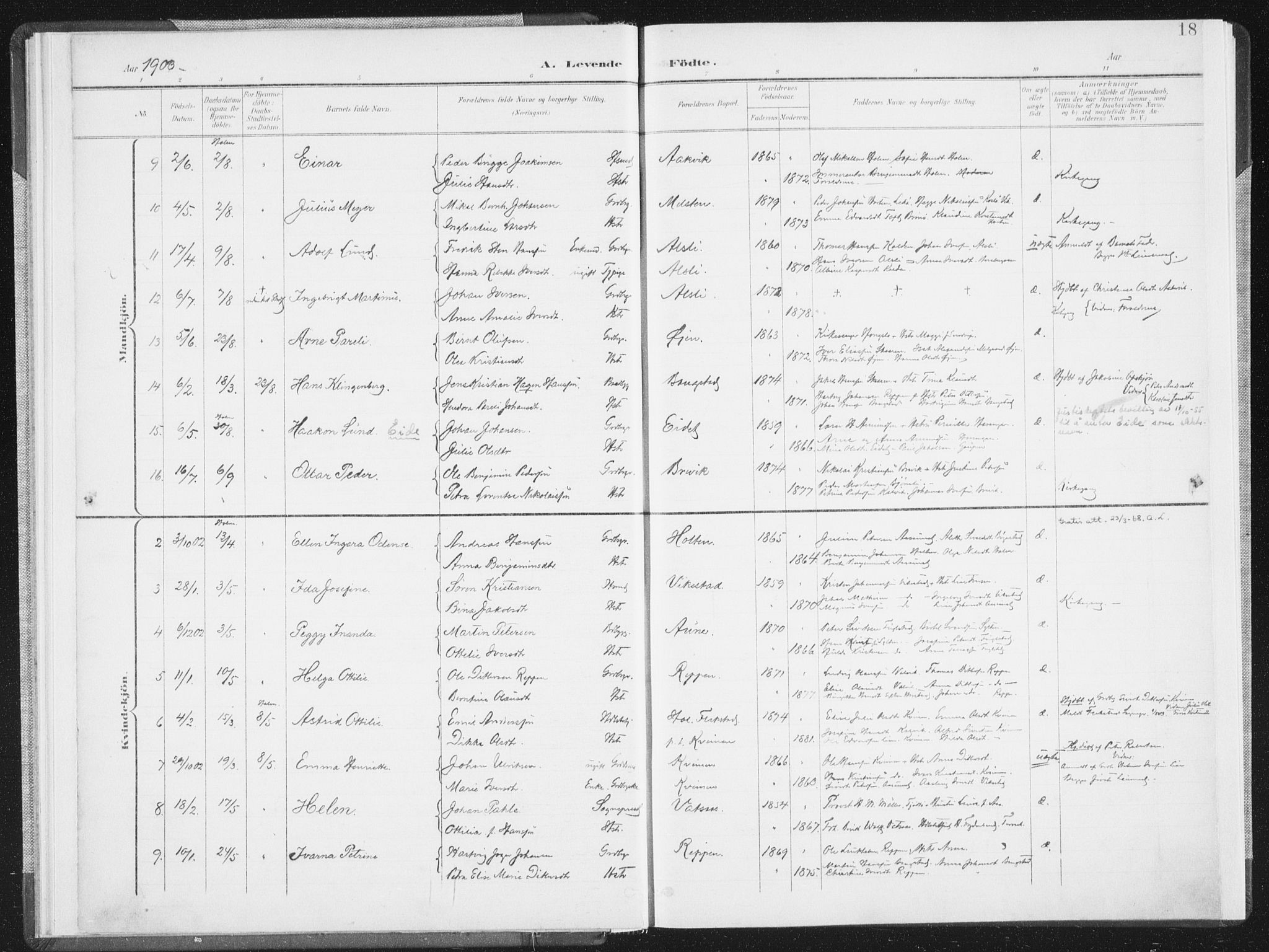 Ministerialprotokoller, klokkerbøker og fødselsregistre - Nordland, AV/SAT-A-1459/810/L0153: Parish register (official) no. 810A12, 1899-1914, p. 18