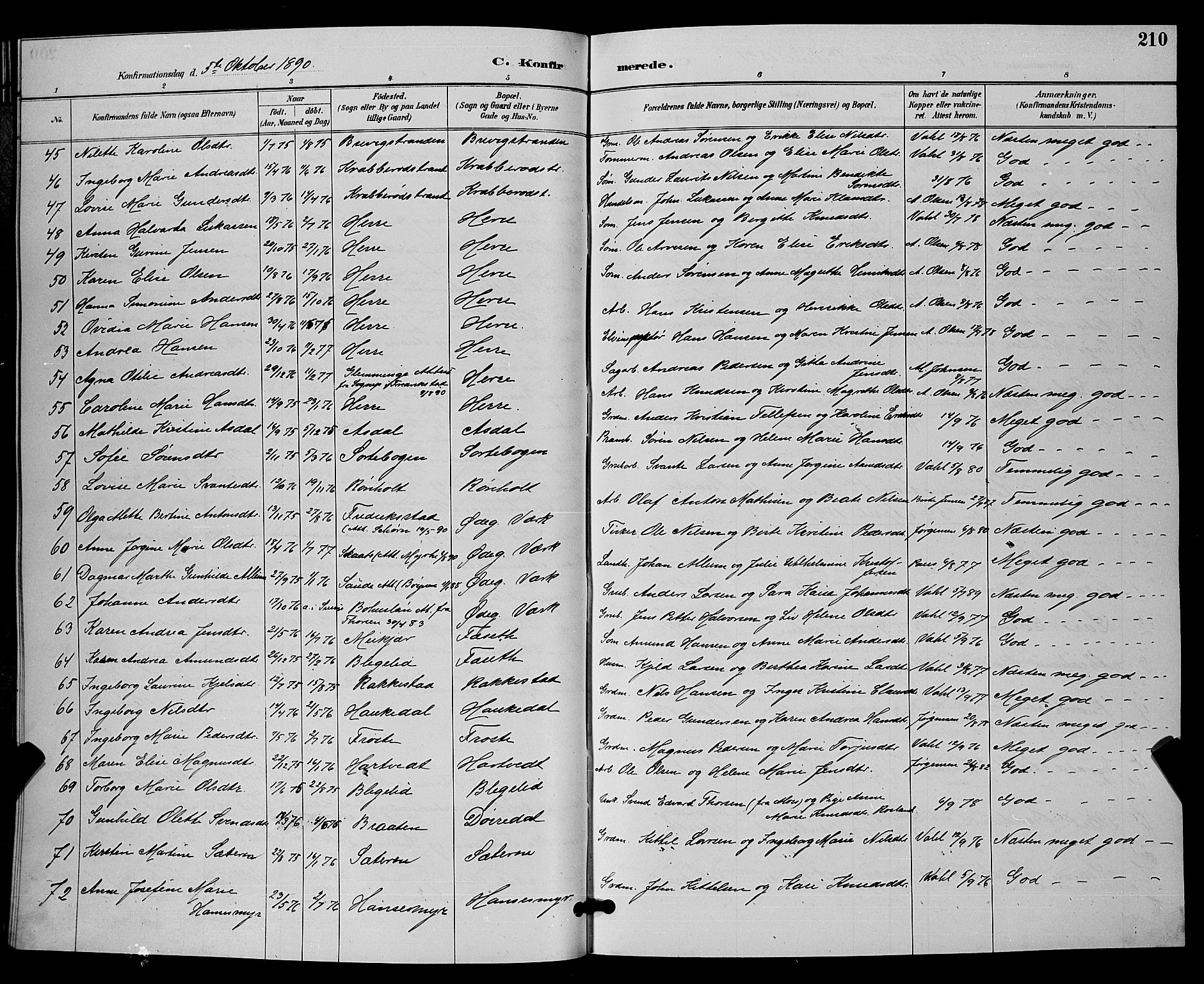 Bamble kirkebøker, SAKO/A-253/G/Ga/L0009: Parish register (copy) no. I 9, 1888-1900, p. 210